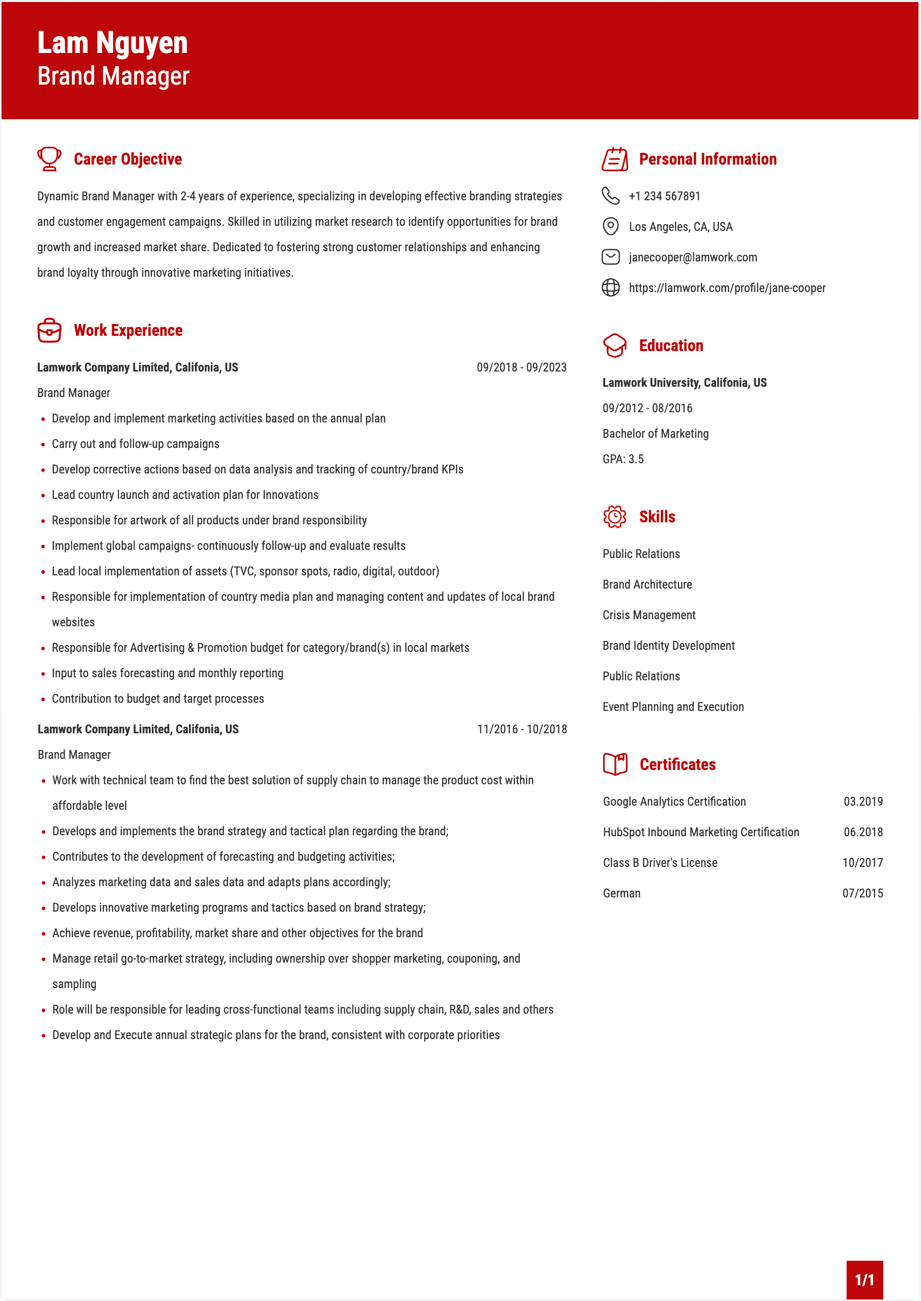 Brand Manager Resume Example
