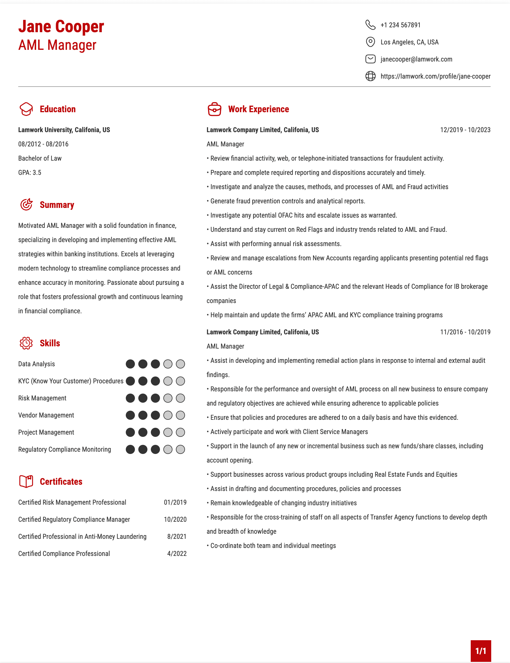 AML Manager Resume Example