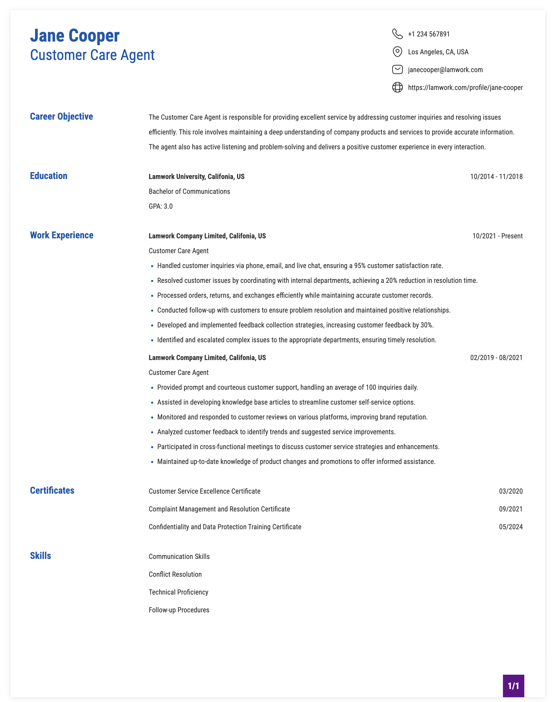 Customer Care Agent Resume Example