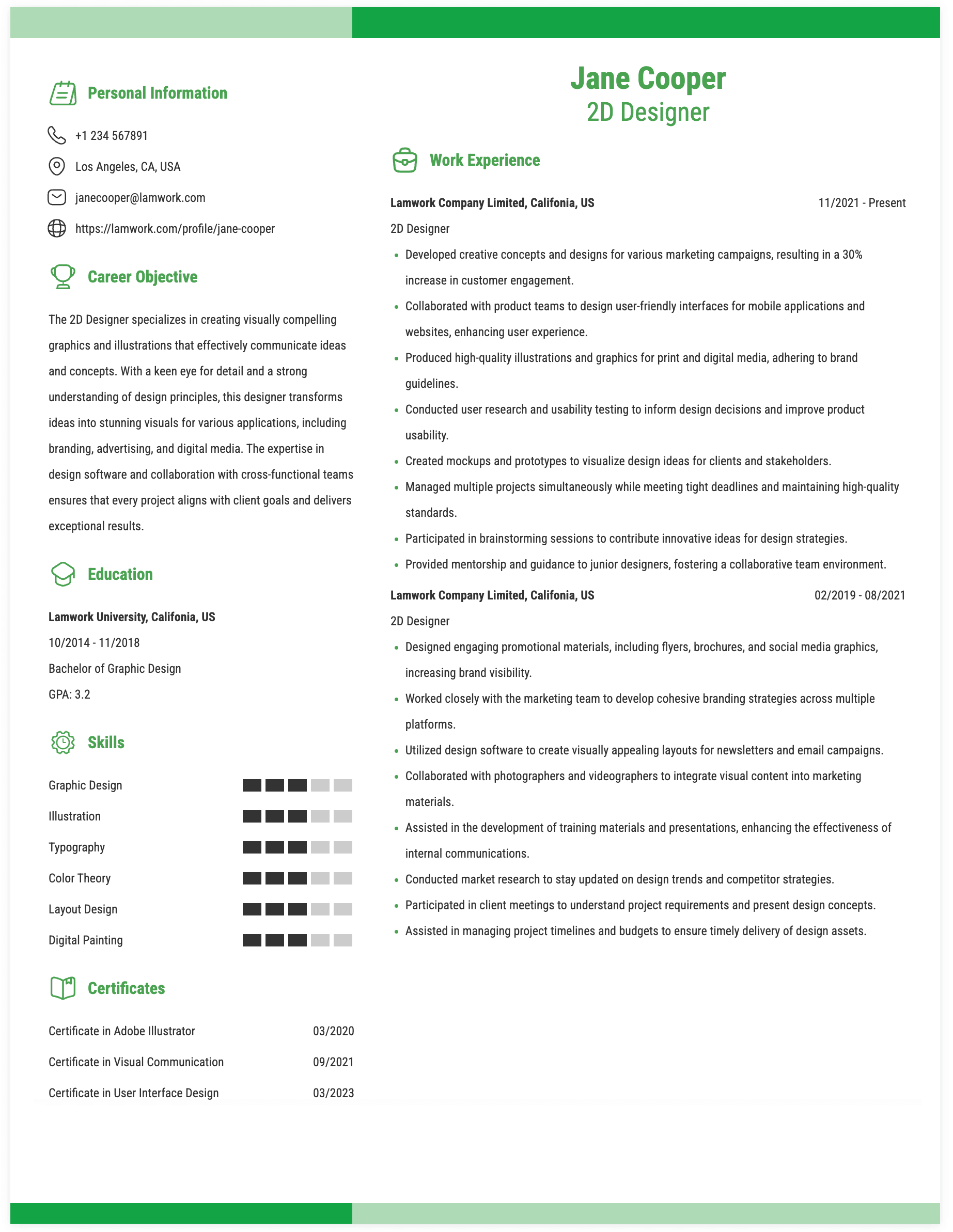 2D Designer Resume Example