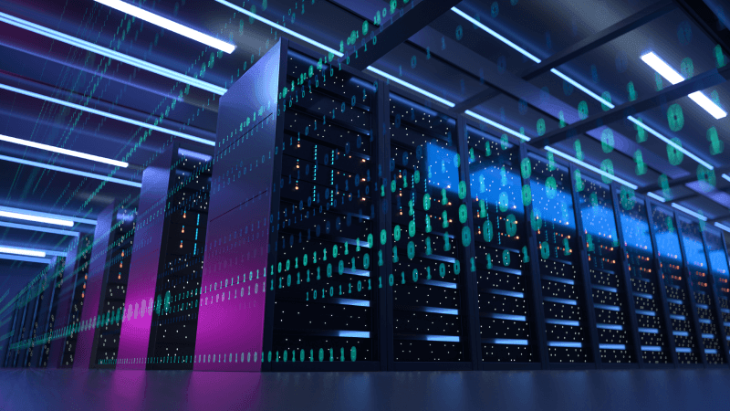 Database Roles and Responsibilities