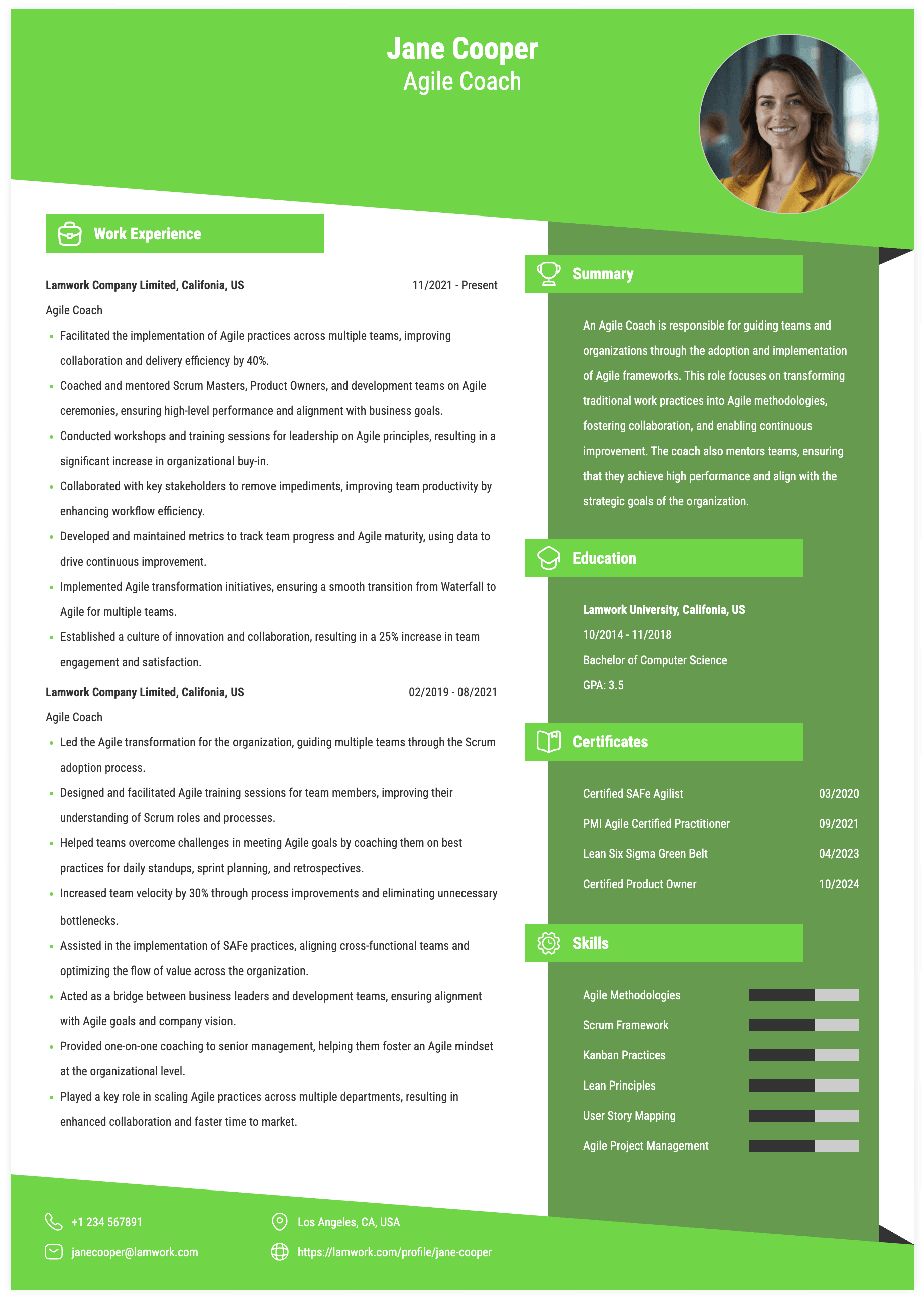 Agile Coach Resume Example