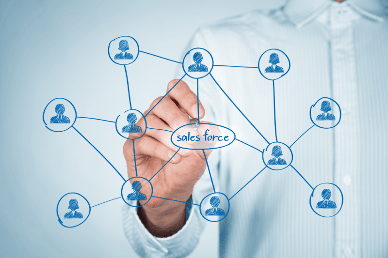 Salesforce Roles and Responsibilities