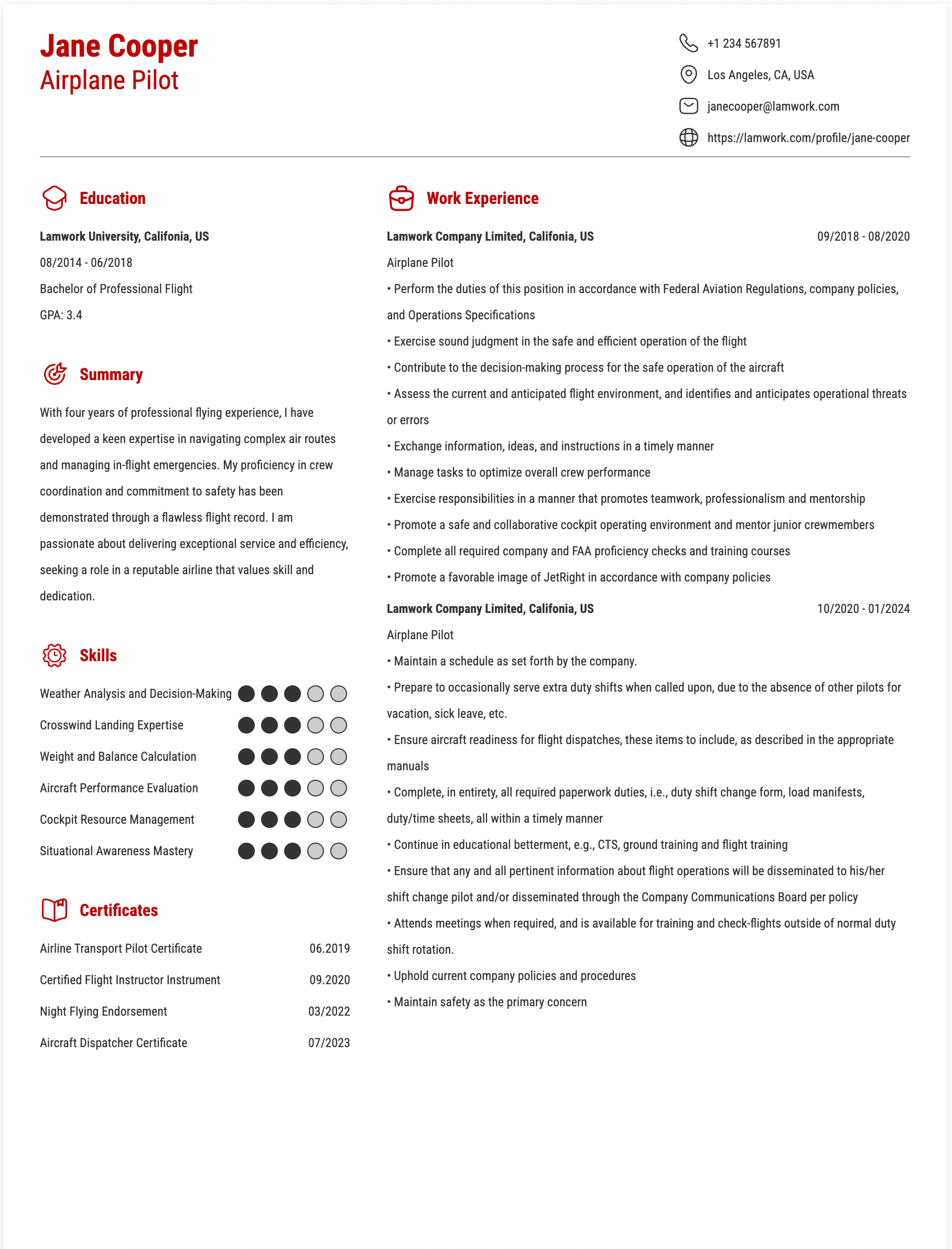 Airplane Pilot Resume Example