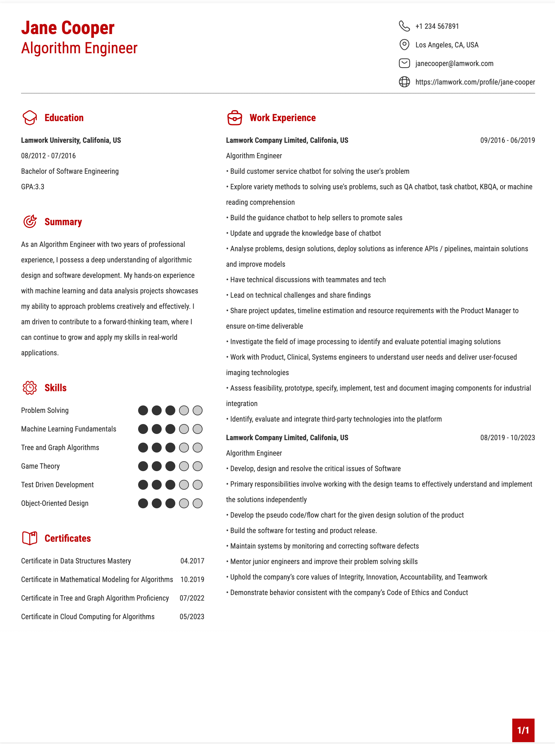Algorithm Engineer Resume Example