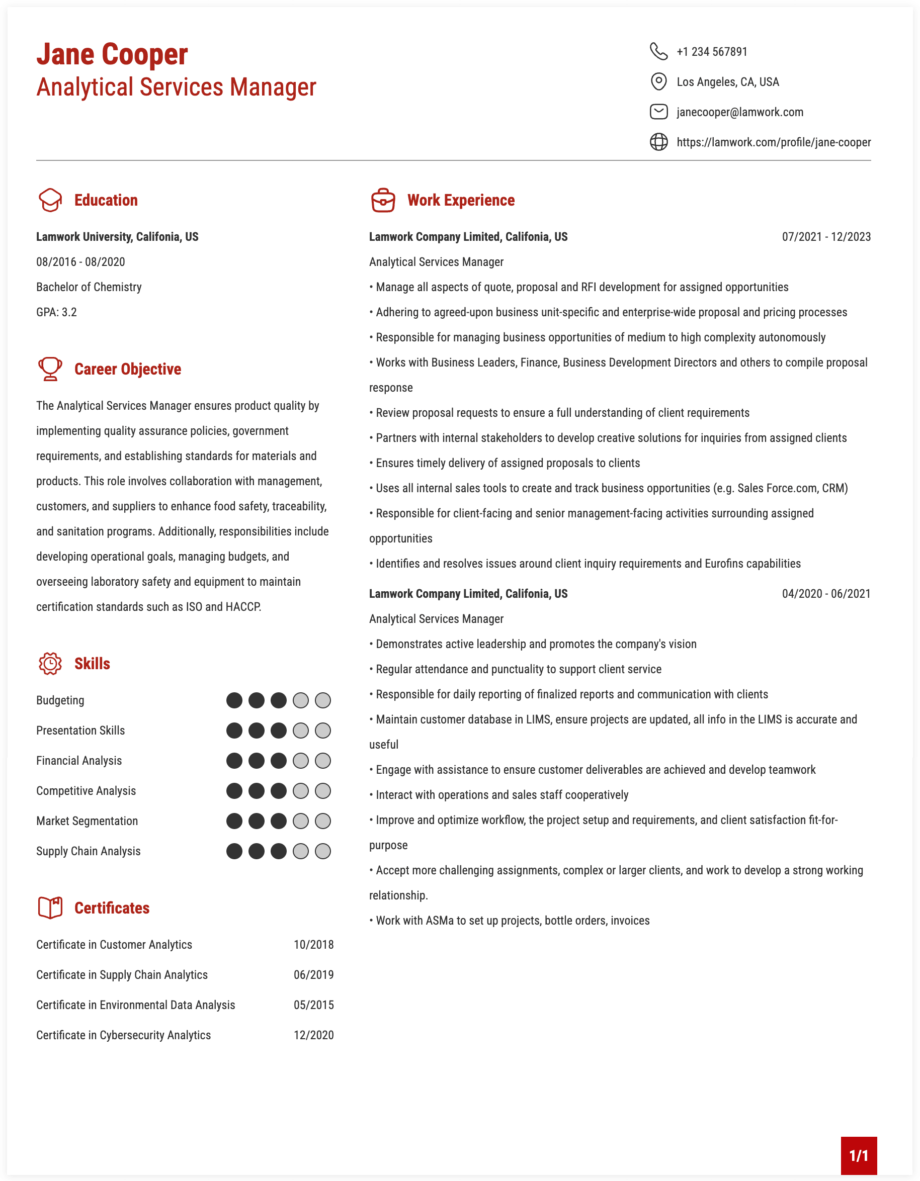 Analytical Services Manager Resume Example
