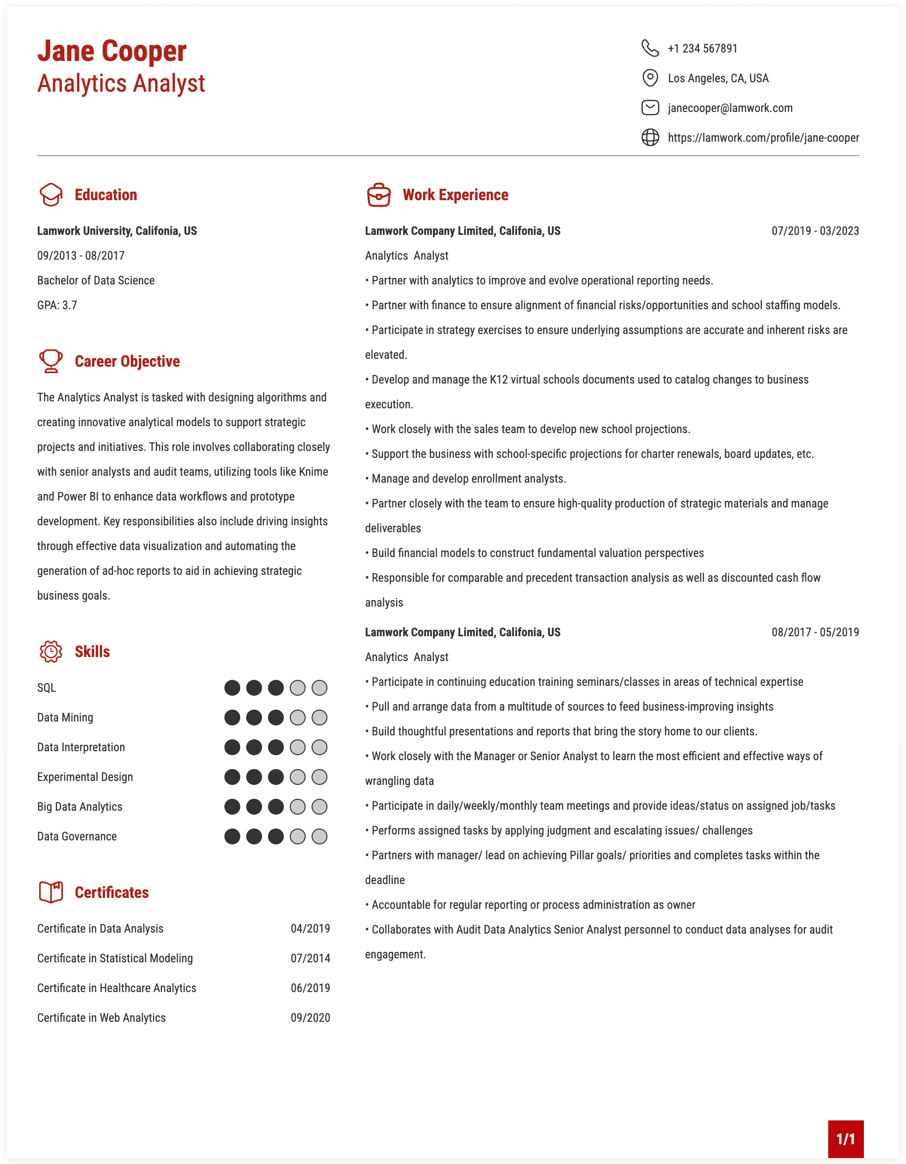 Analytics Analyst Resume Example