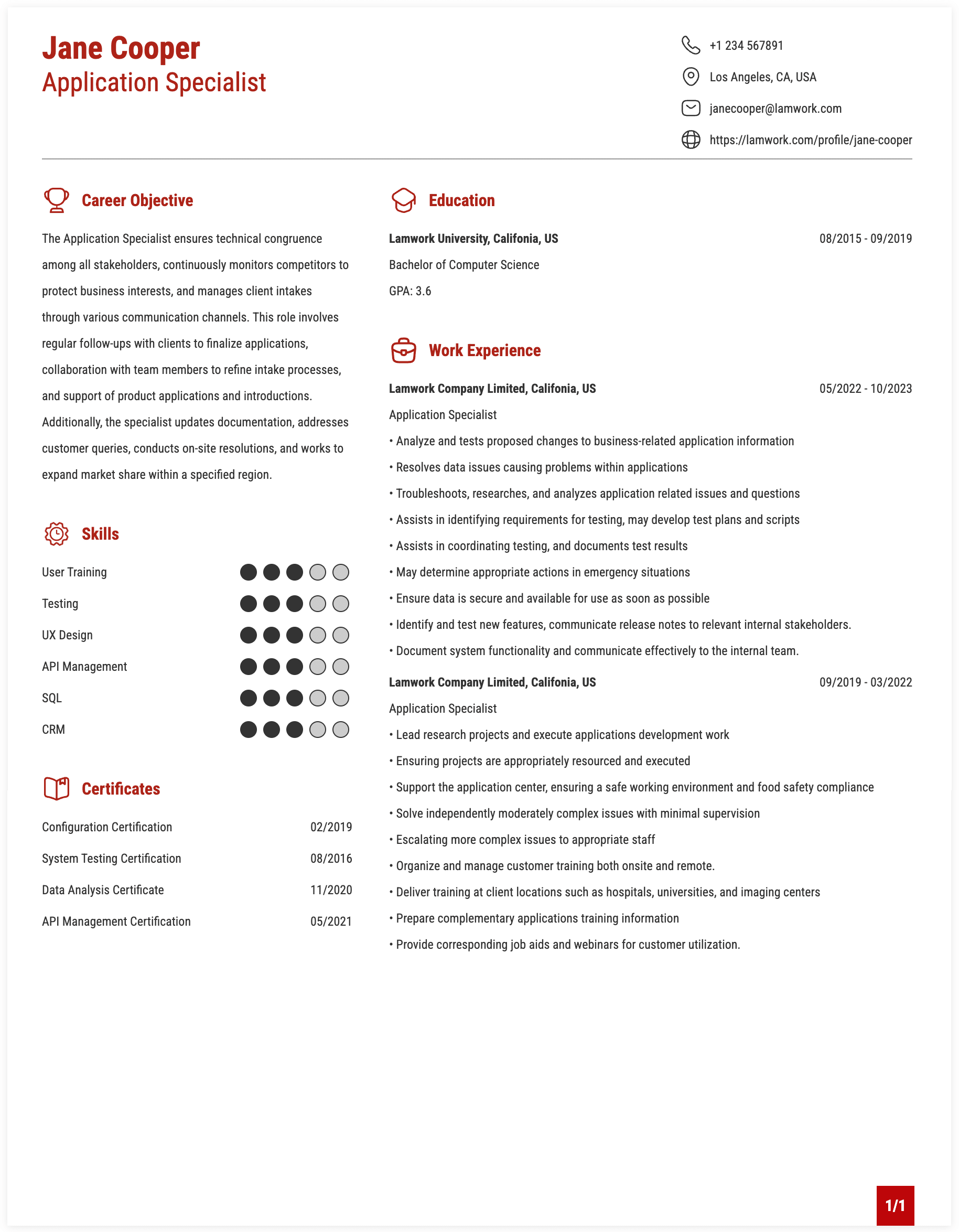 Application Specialist Resume Example