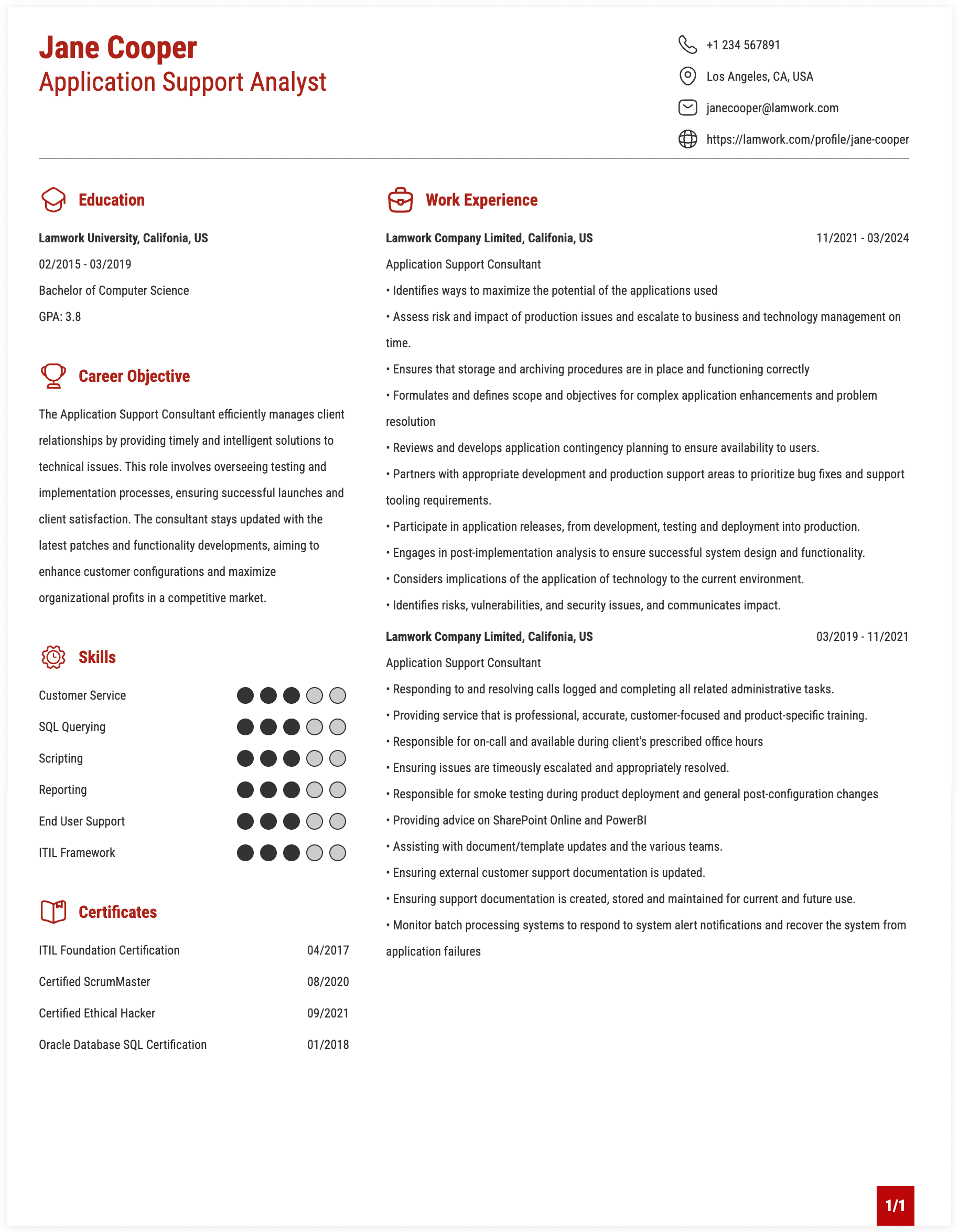 Application Support Consultant Resume Example