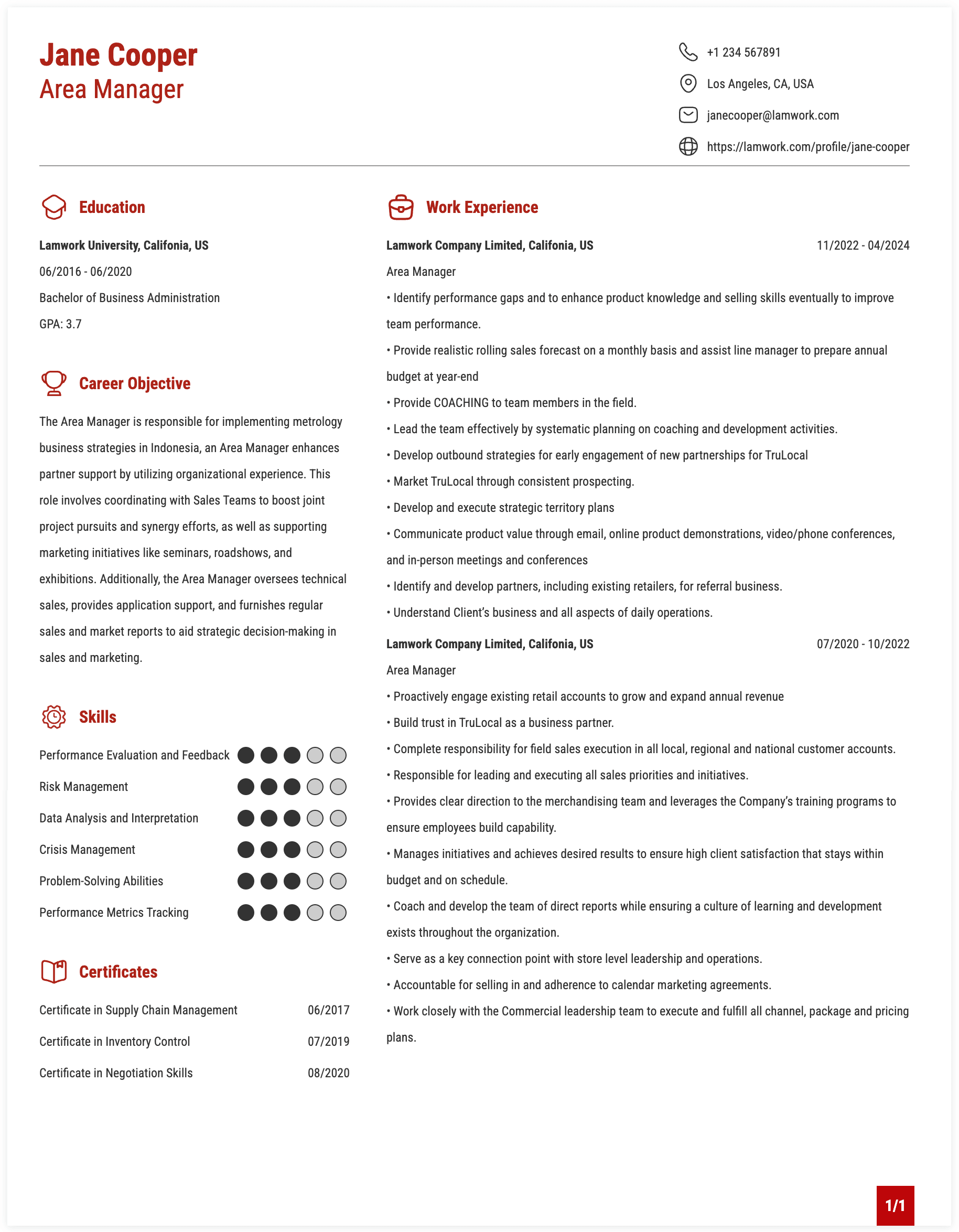 Area Manager Resume Example