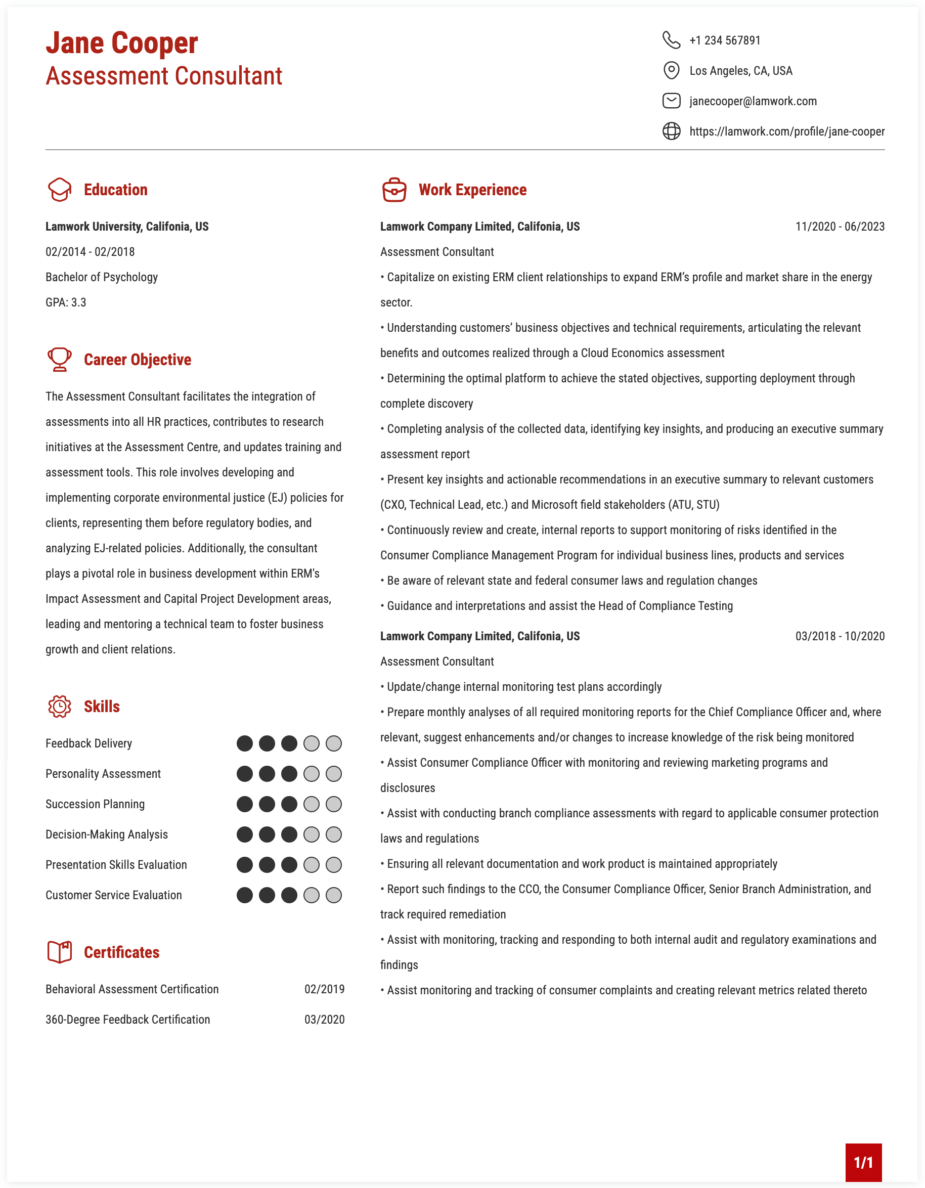 Assessment Consultant Resume Example