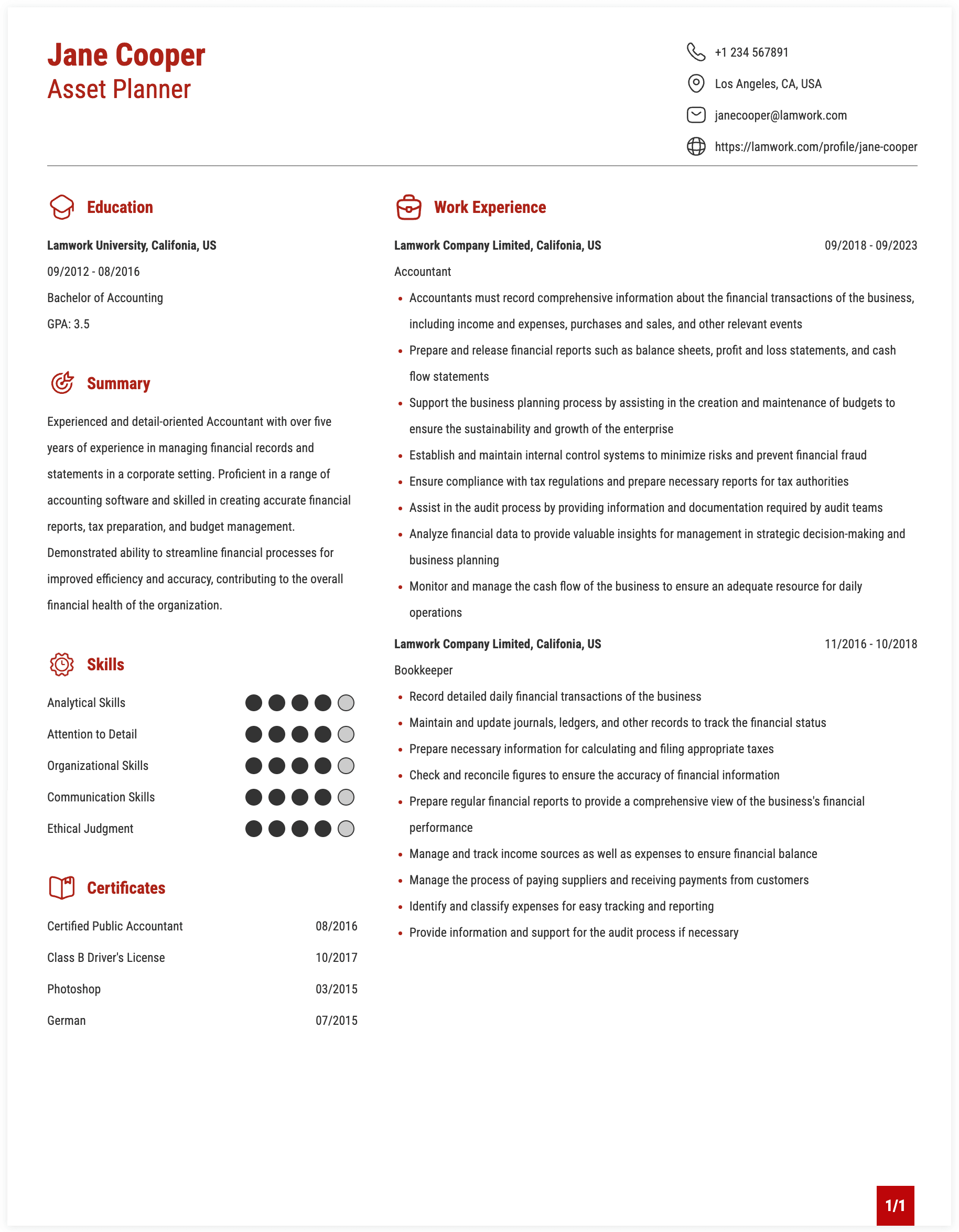 Asset Planner Resume Exmaple