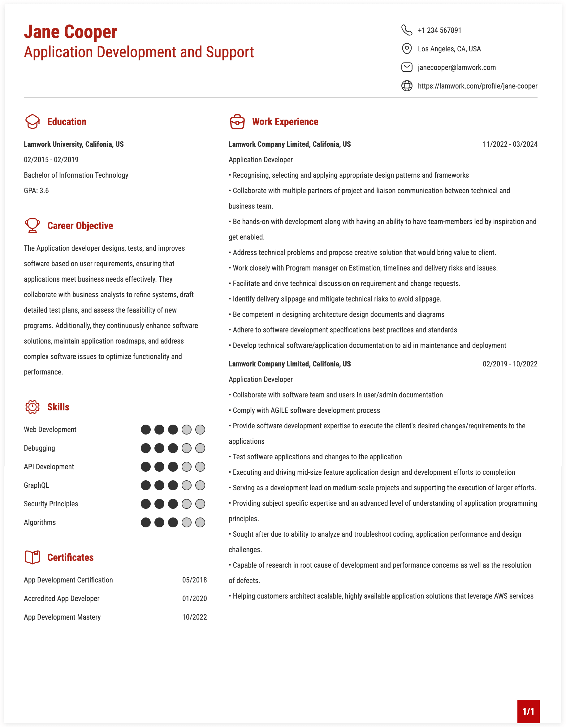 Application Development and Support Resume Example