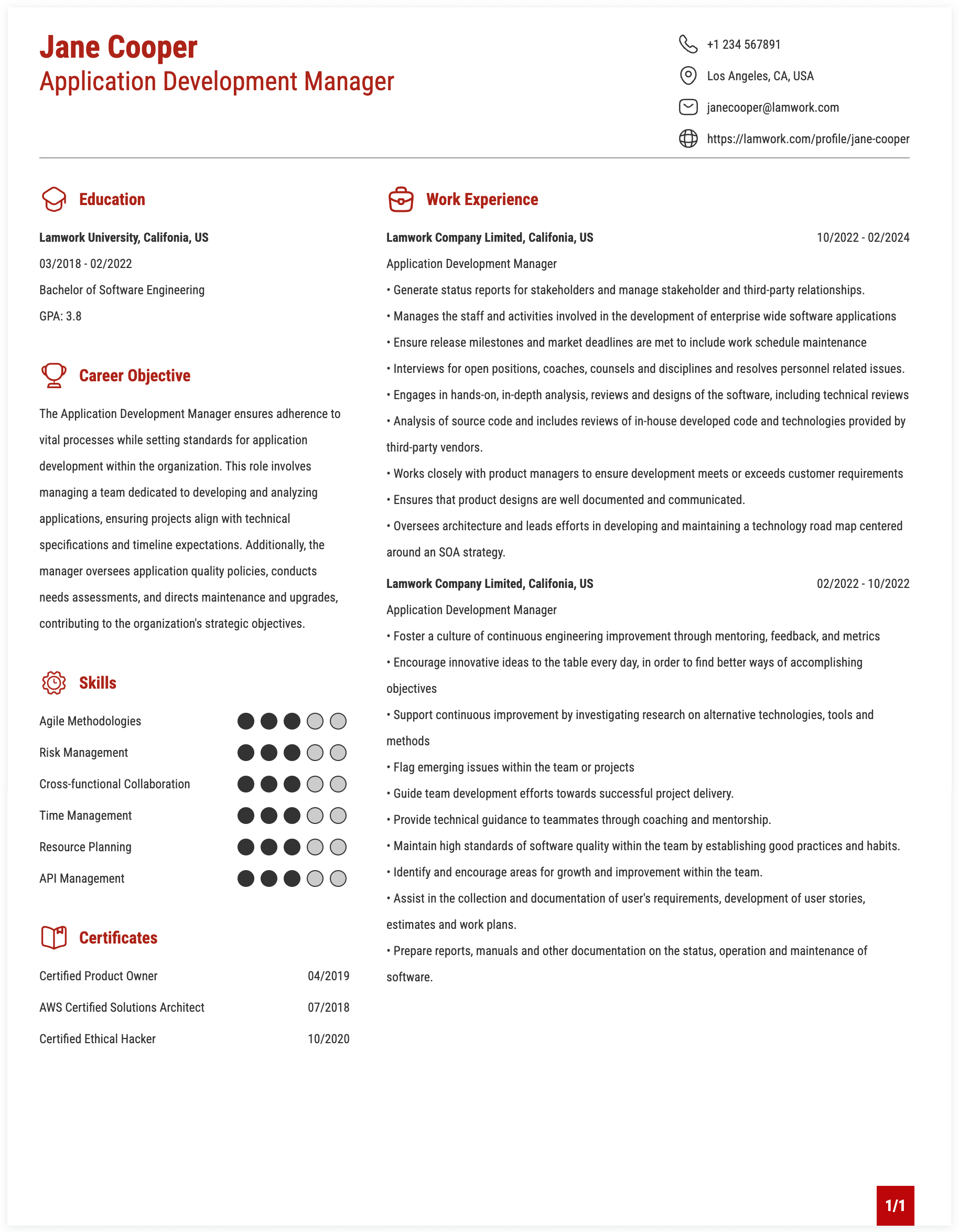 Application Development Manager Resume Template