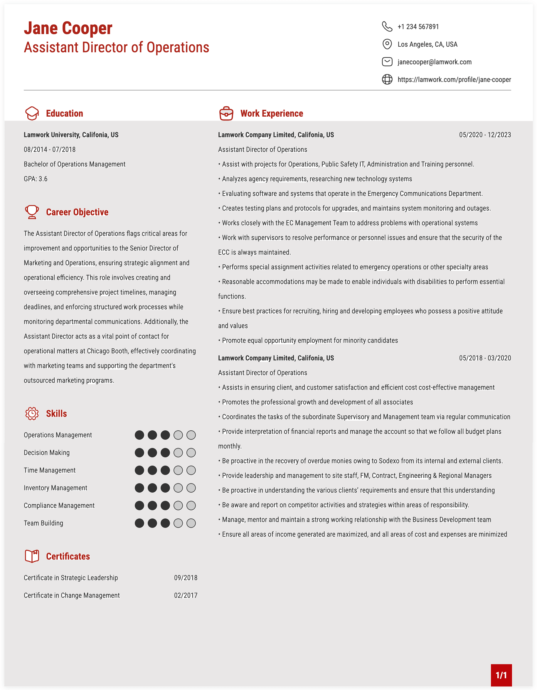 Assistant Director of Operations Resume Example