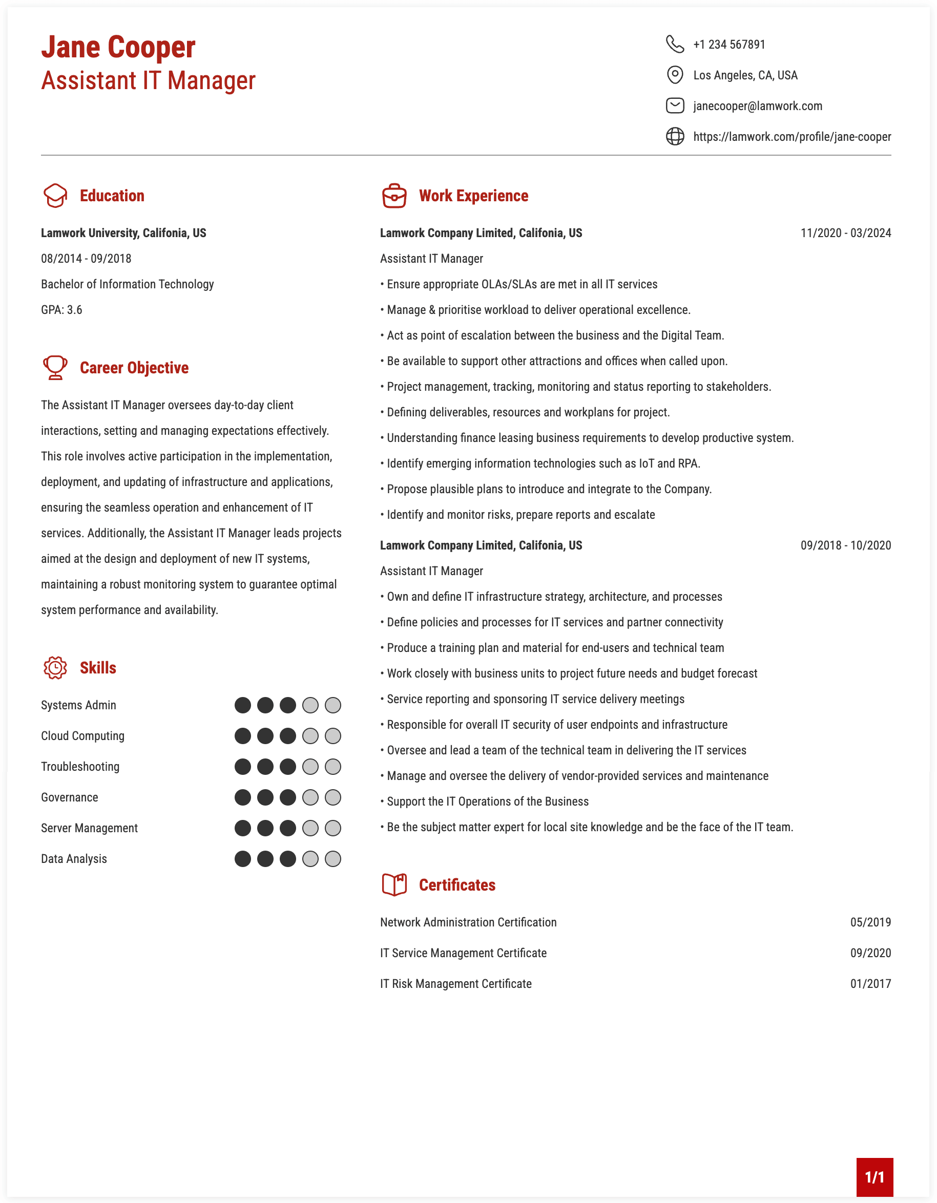 Assistant IT Manager Resume Example