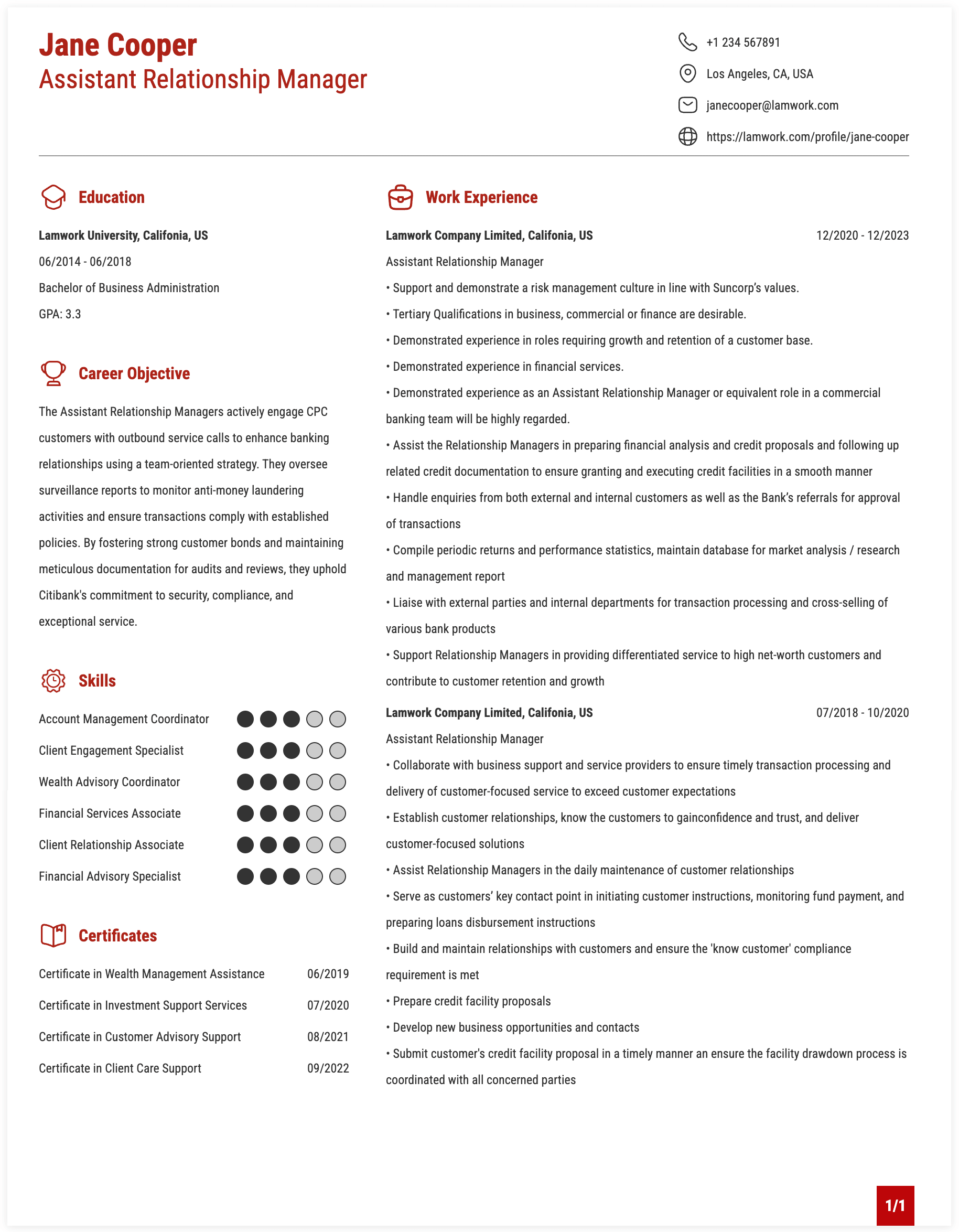 Assistant Relationship Manager Resume Example