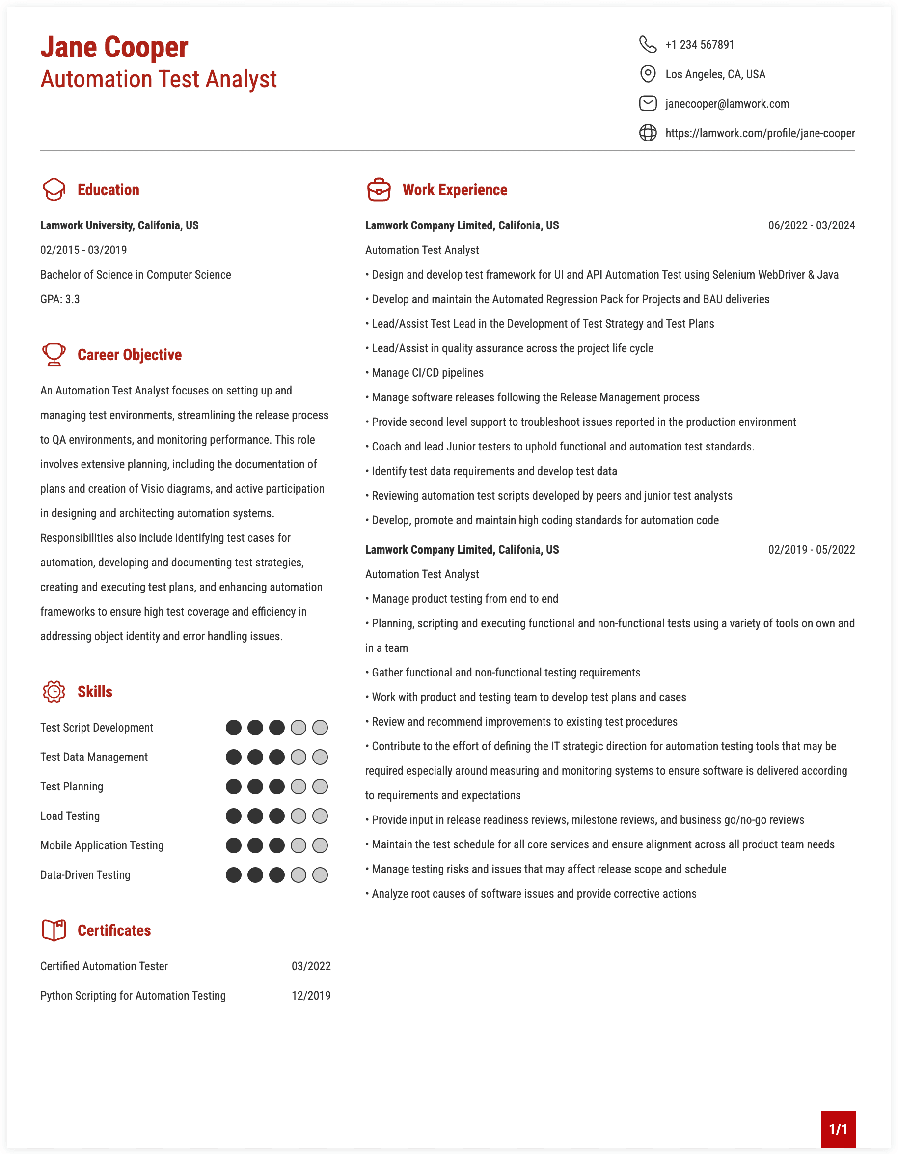 Automation Test Analyst Resume Example
