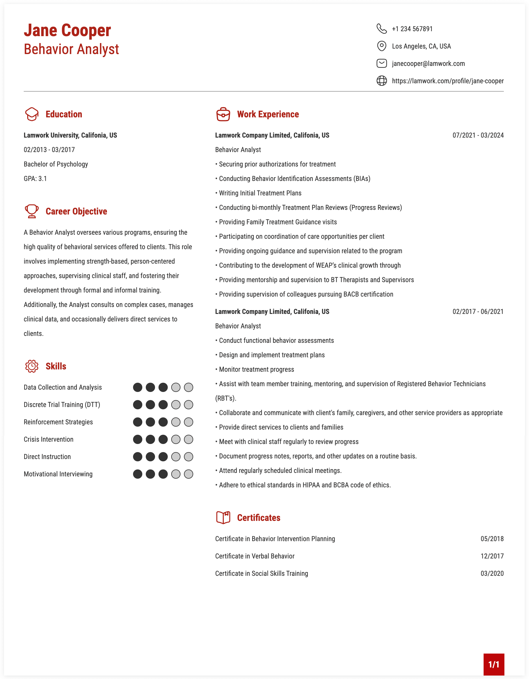 Behavior Analyst Resume Example