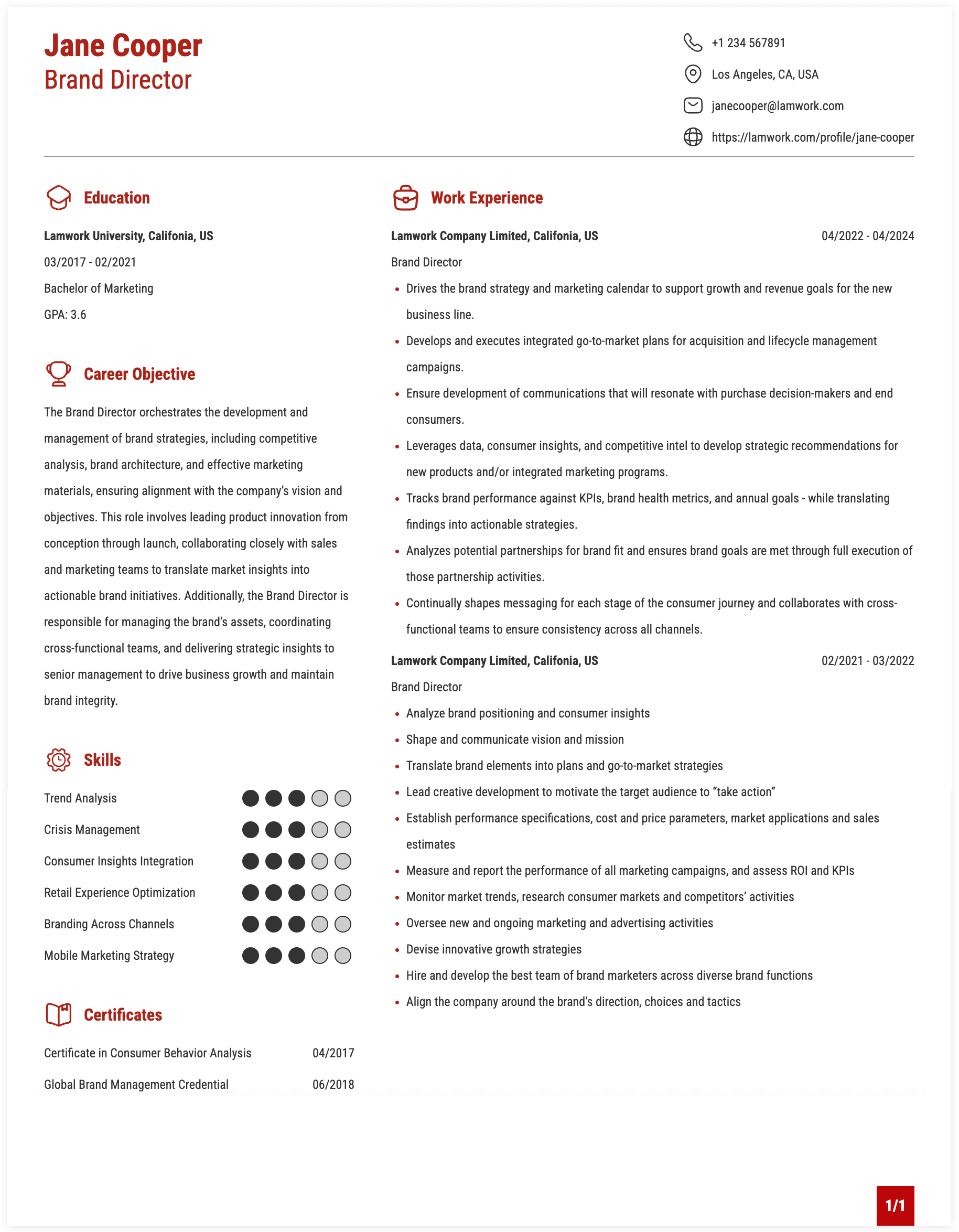 Brand Director Resume Example