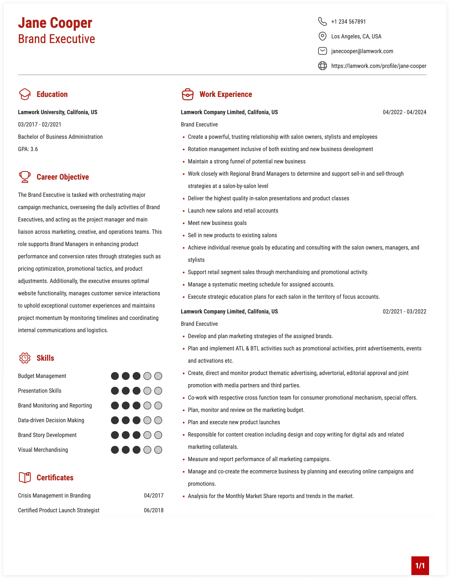 Brand Executive Resume Example