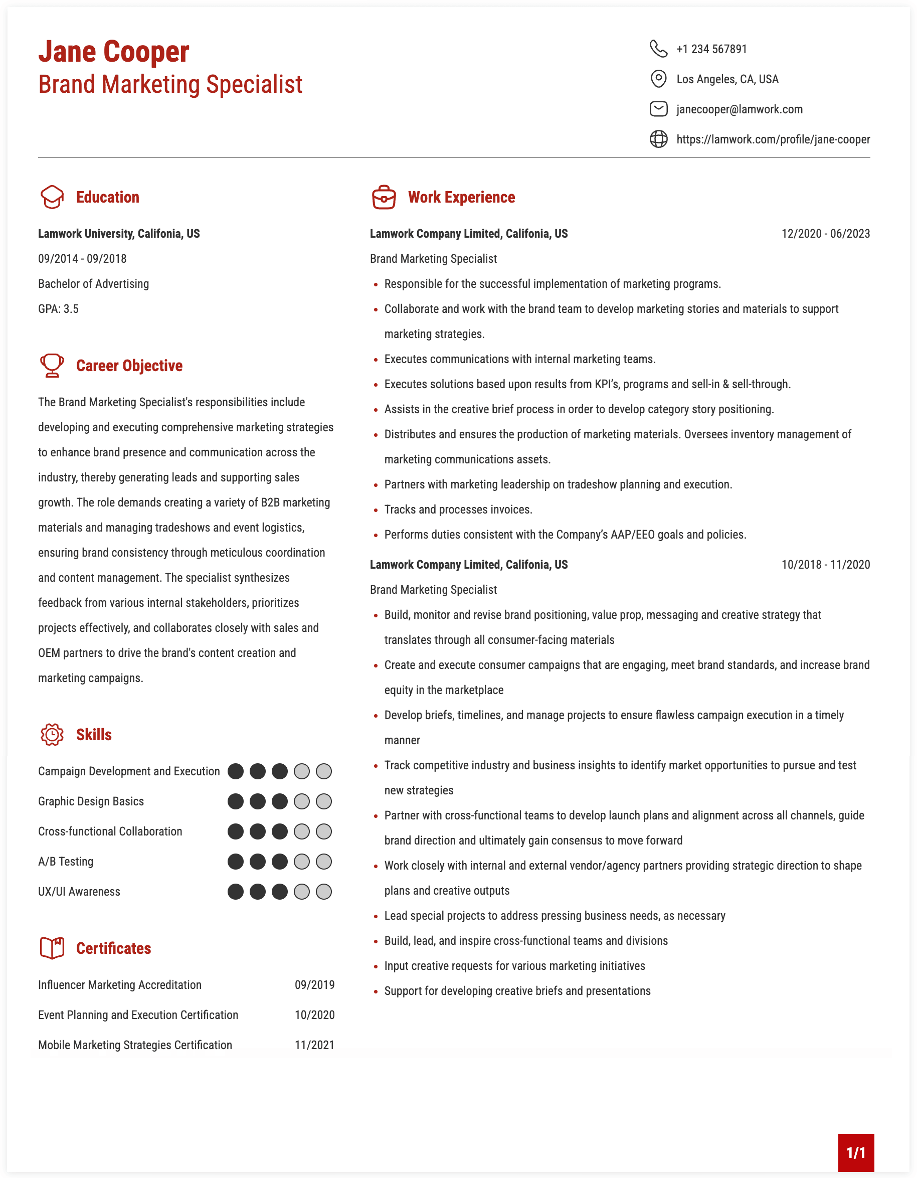 Brand Marketing Specialist Resume Example