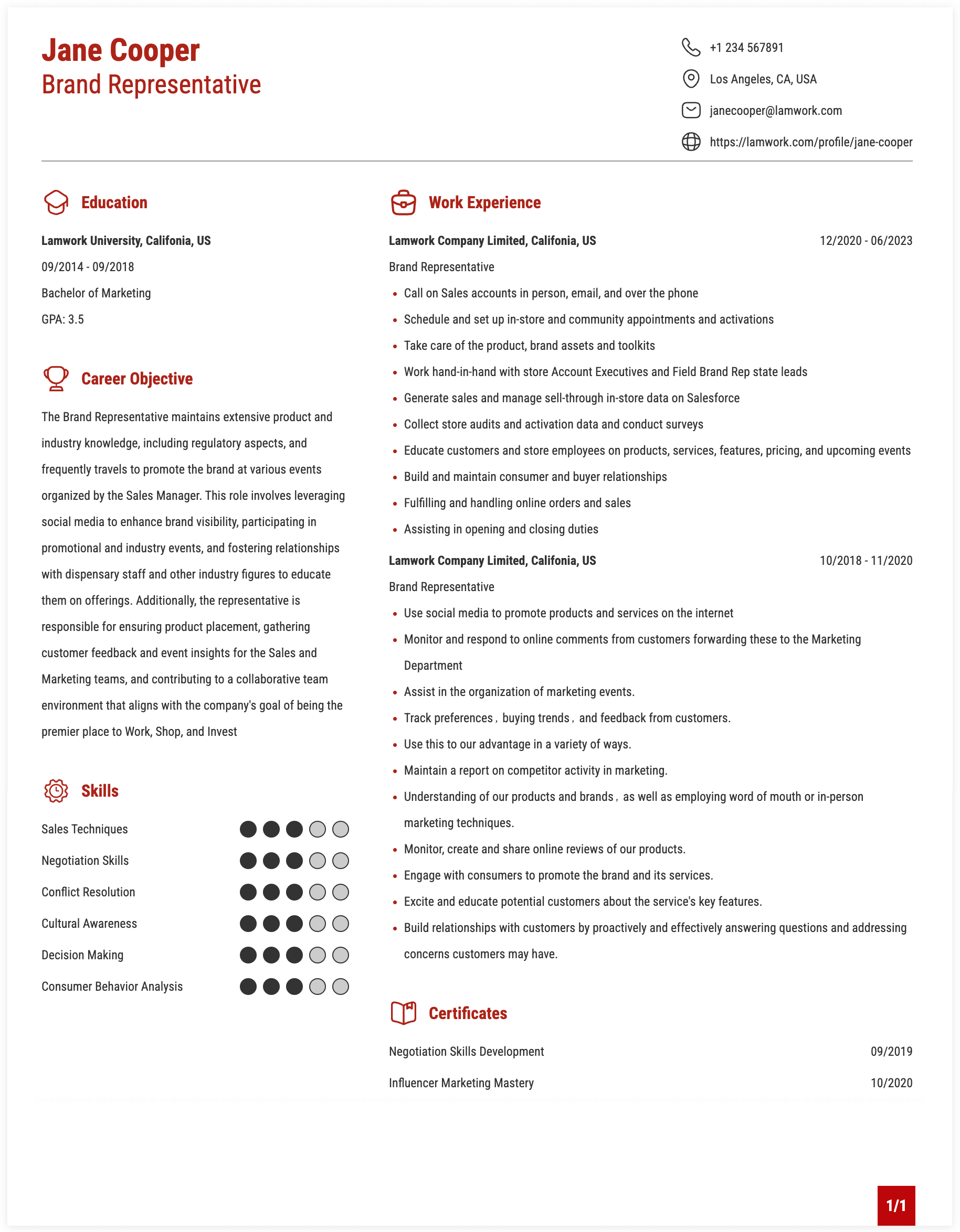 Brand Representative Resume Example