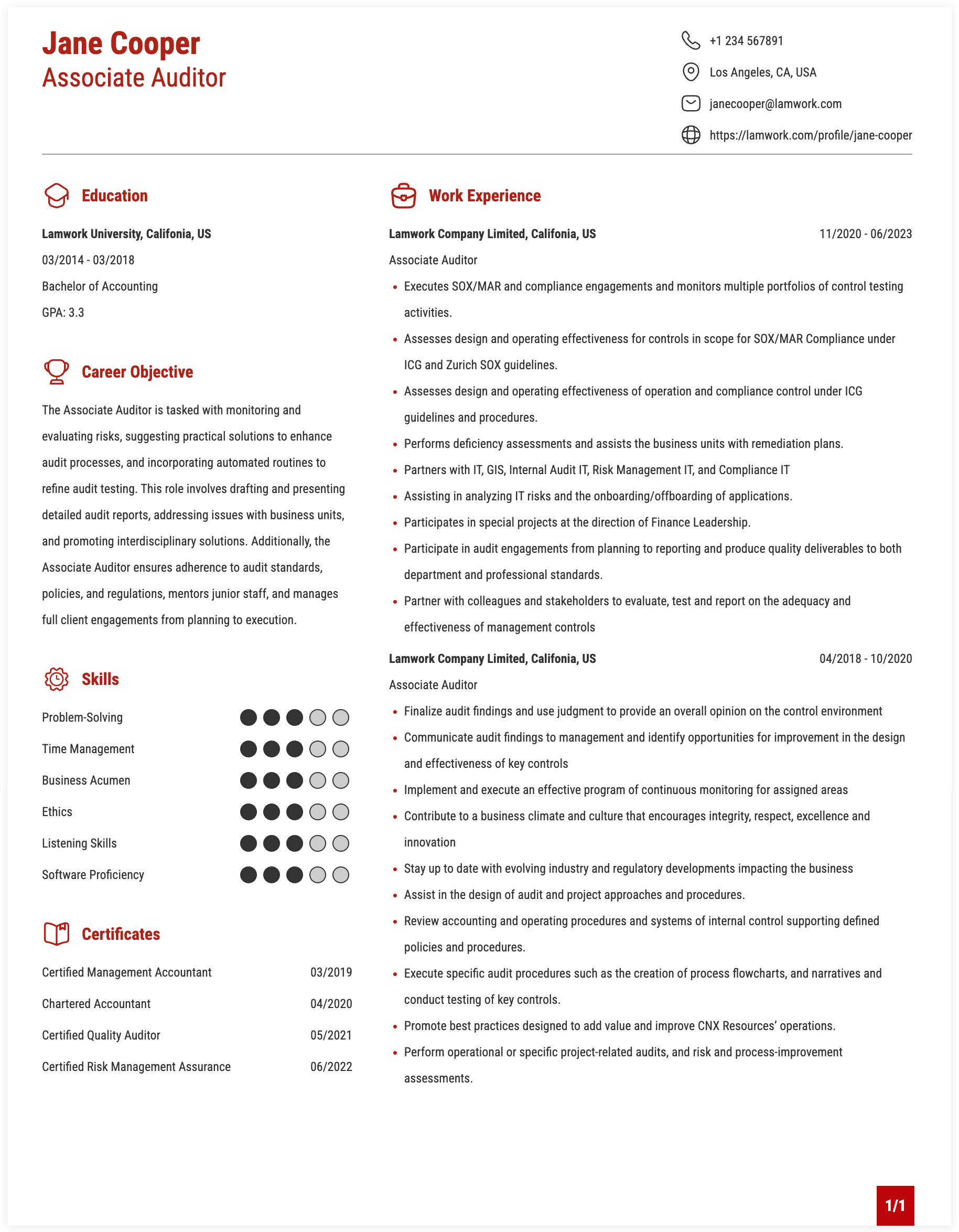 Associate Auditor Resume Example