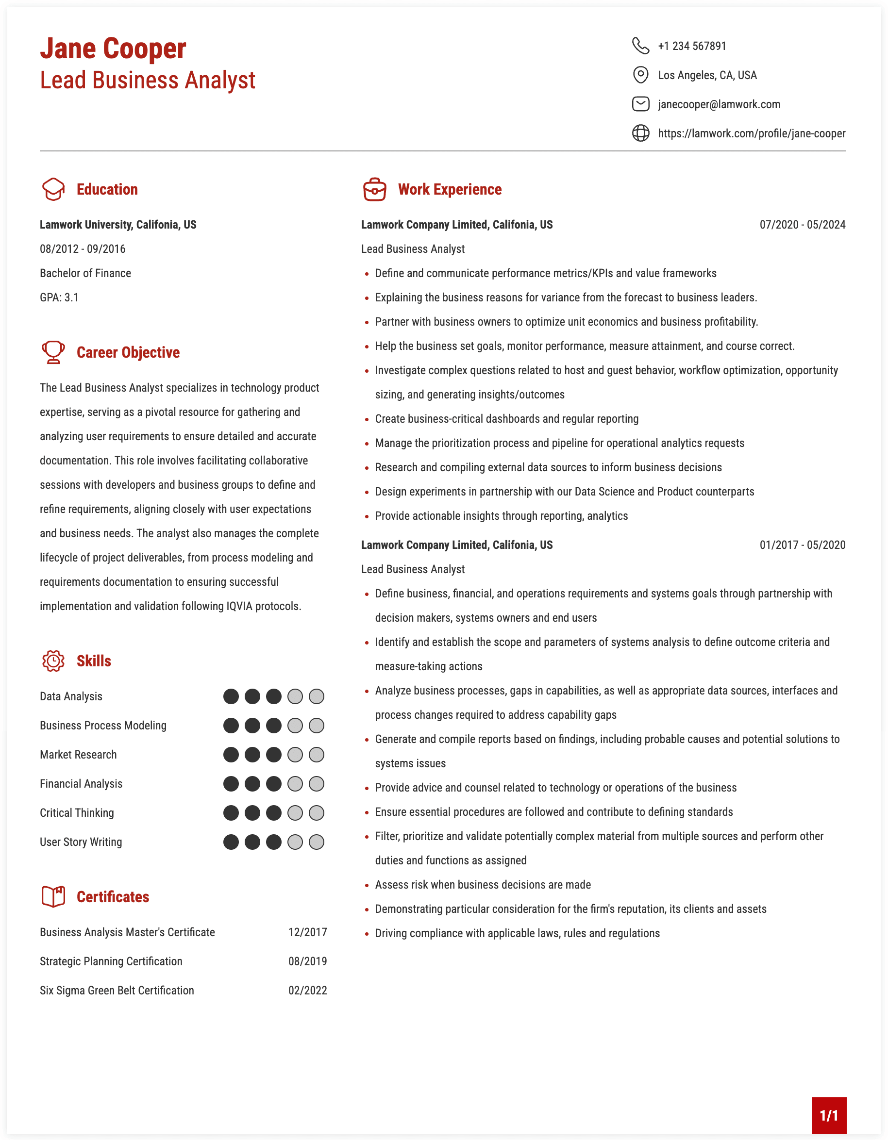 Lead Business Analyst Resume Example