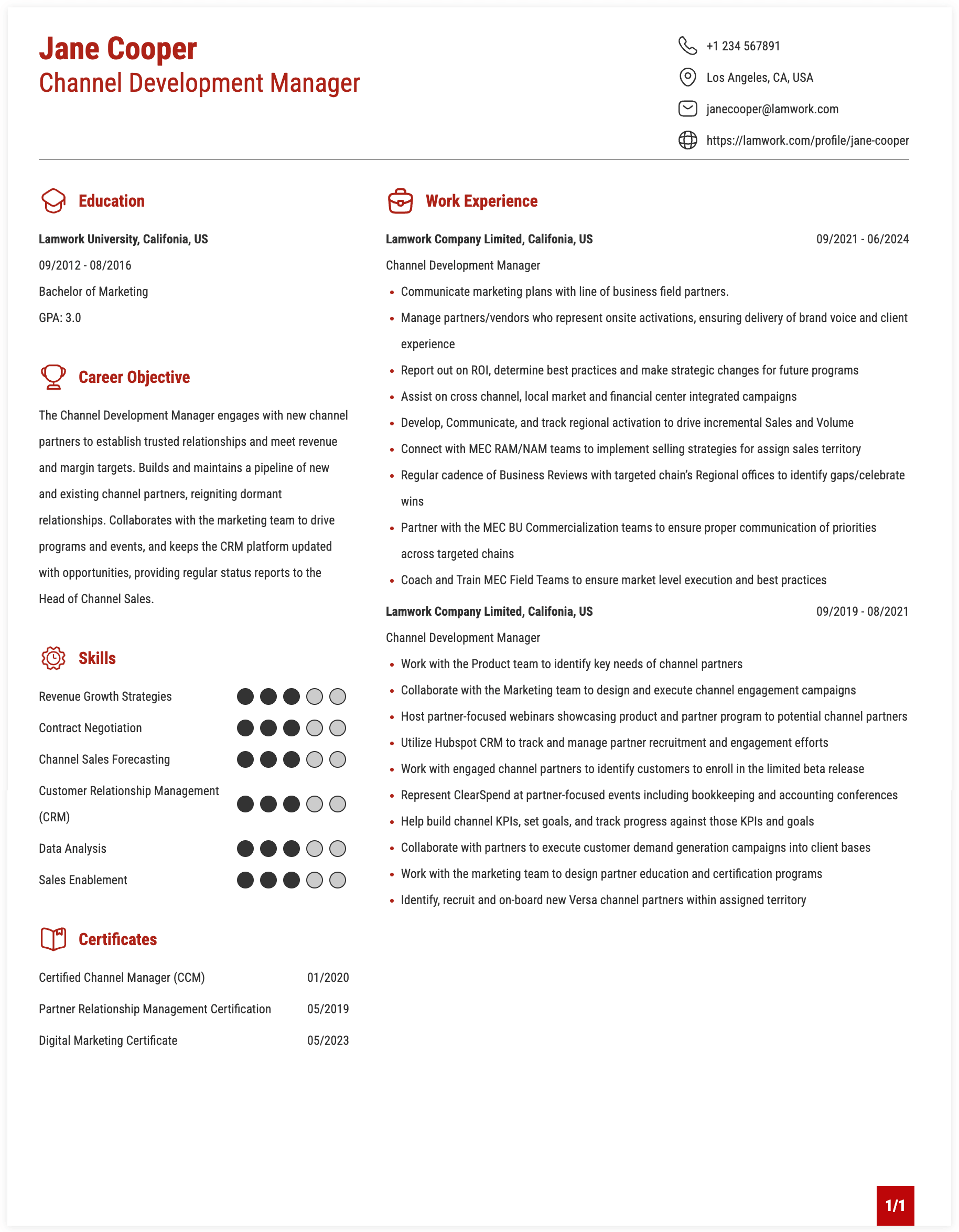 Channel Development Manager Resume Example
