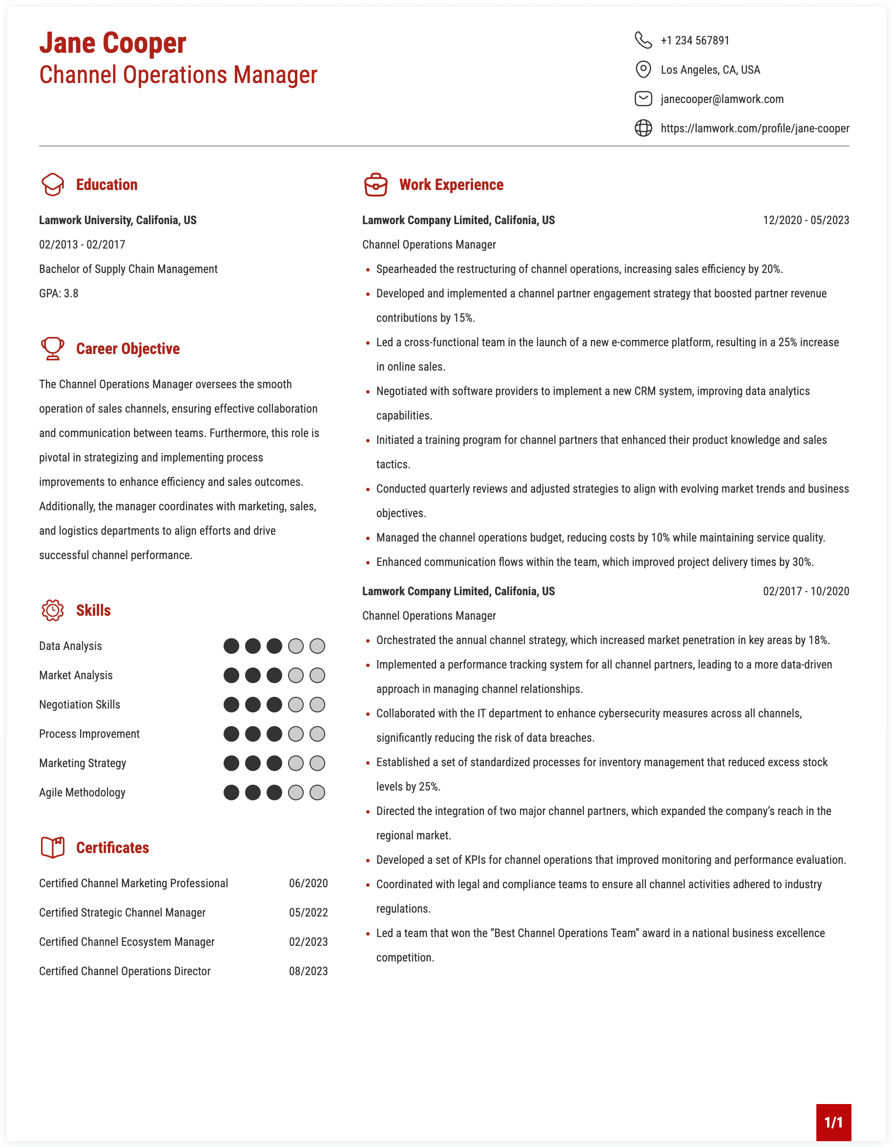 Channel Operations Manager Resume Example