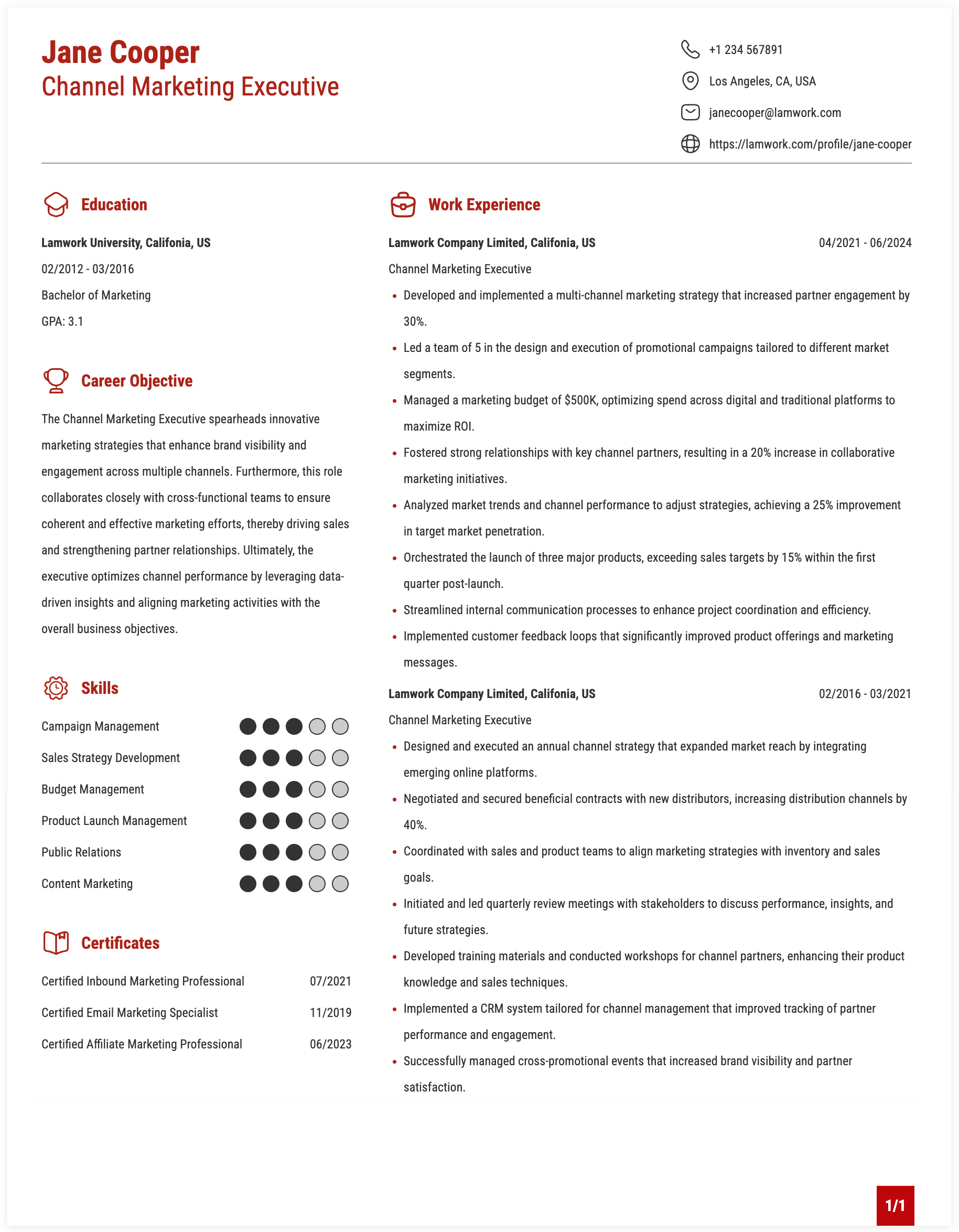 Channel Marketing Executive Resume Example