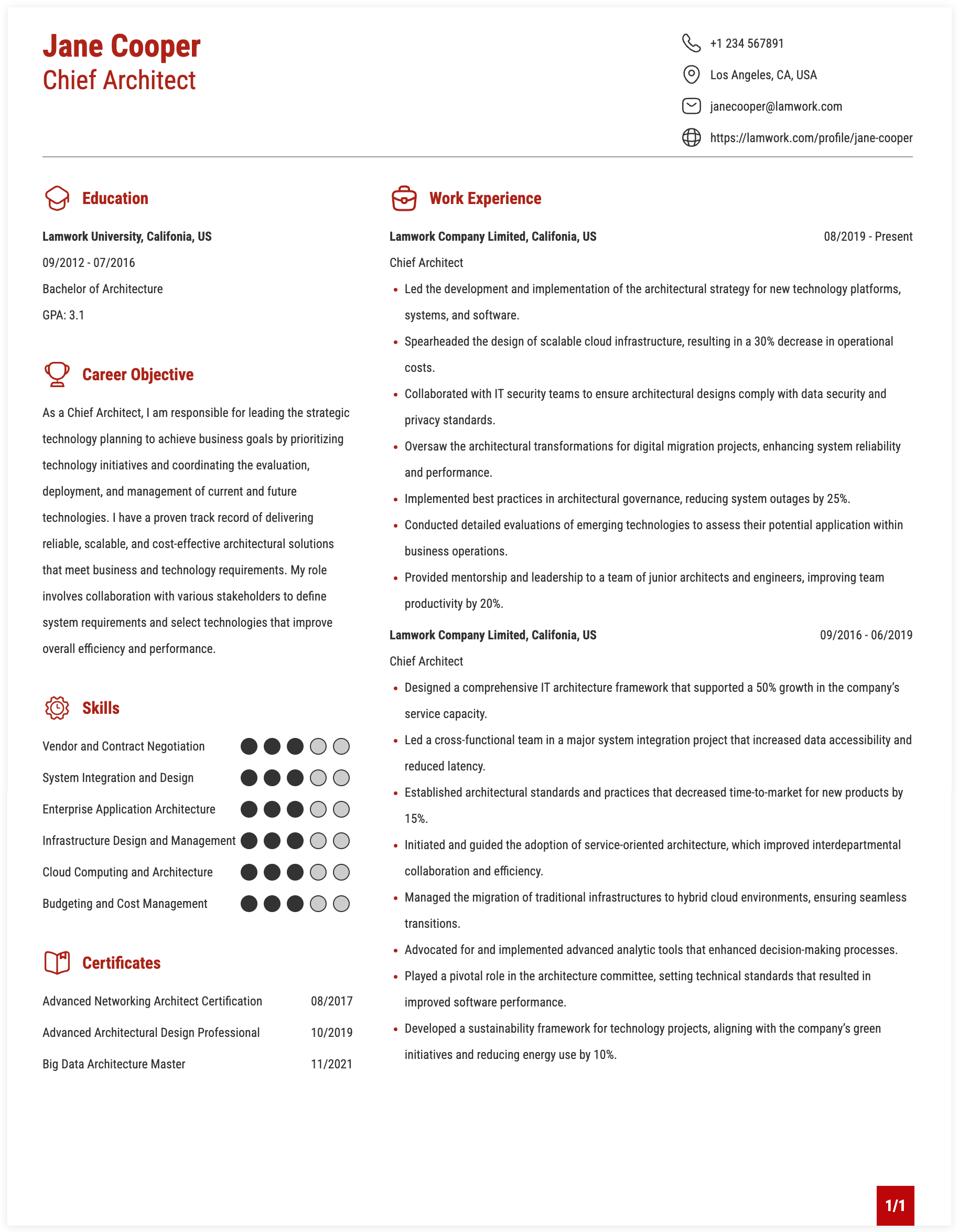 Chief Architect Resume Example