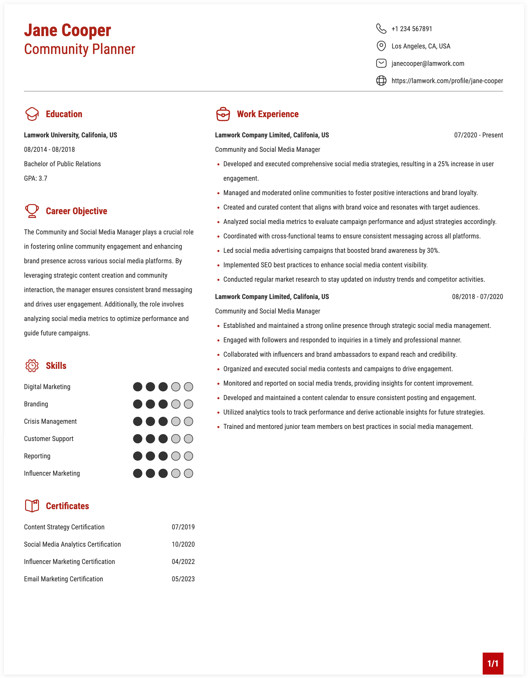 Community and Social Media Manager Resume Example
