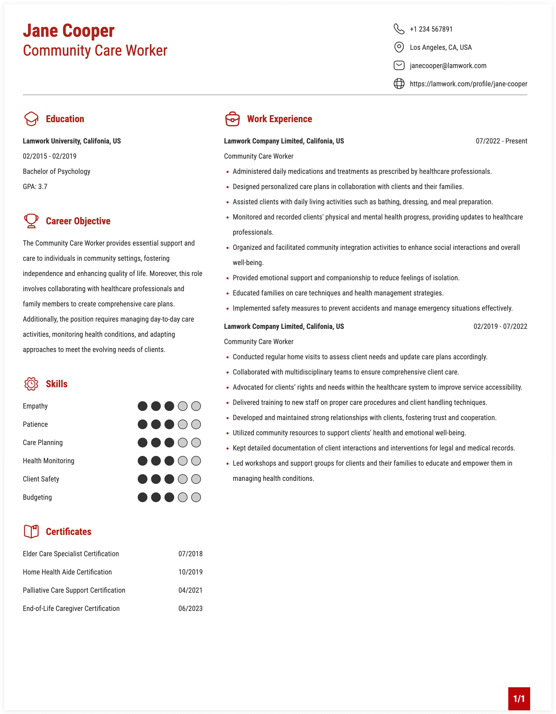 Community Care Worker Resume Example
