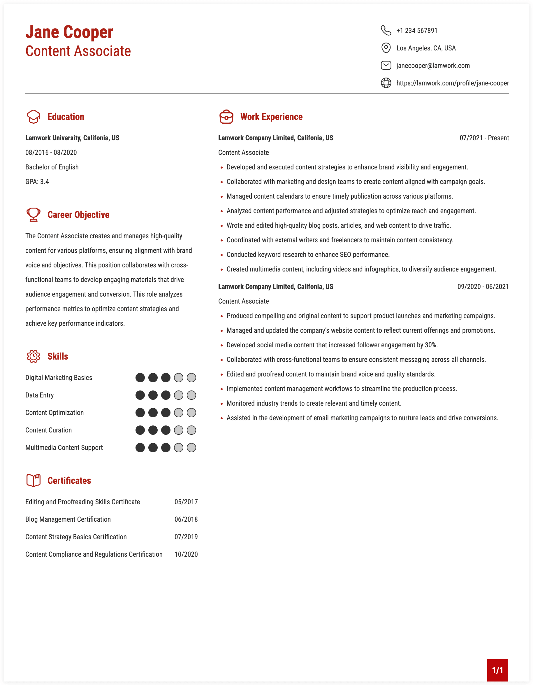 Content Associate Resume Example