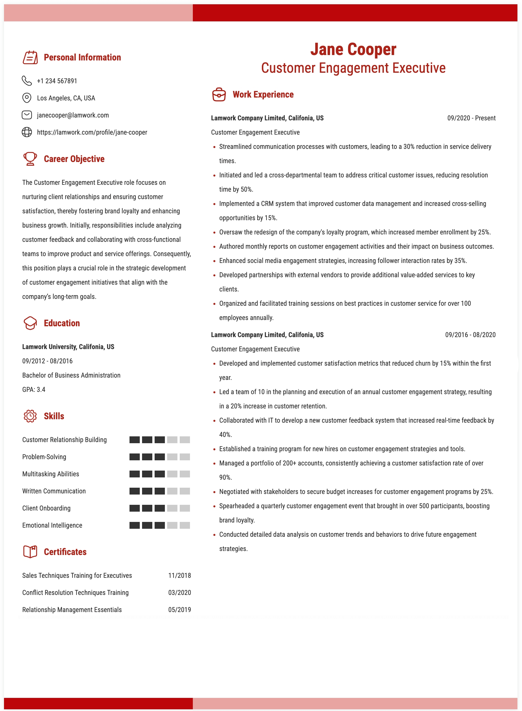 Customer Engagement Executive Resume Example