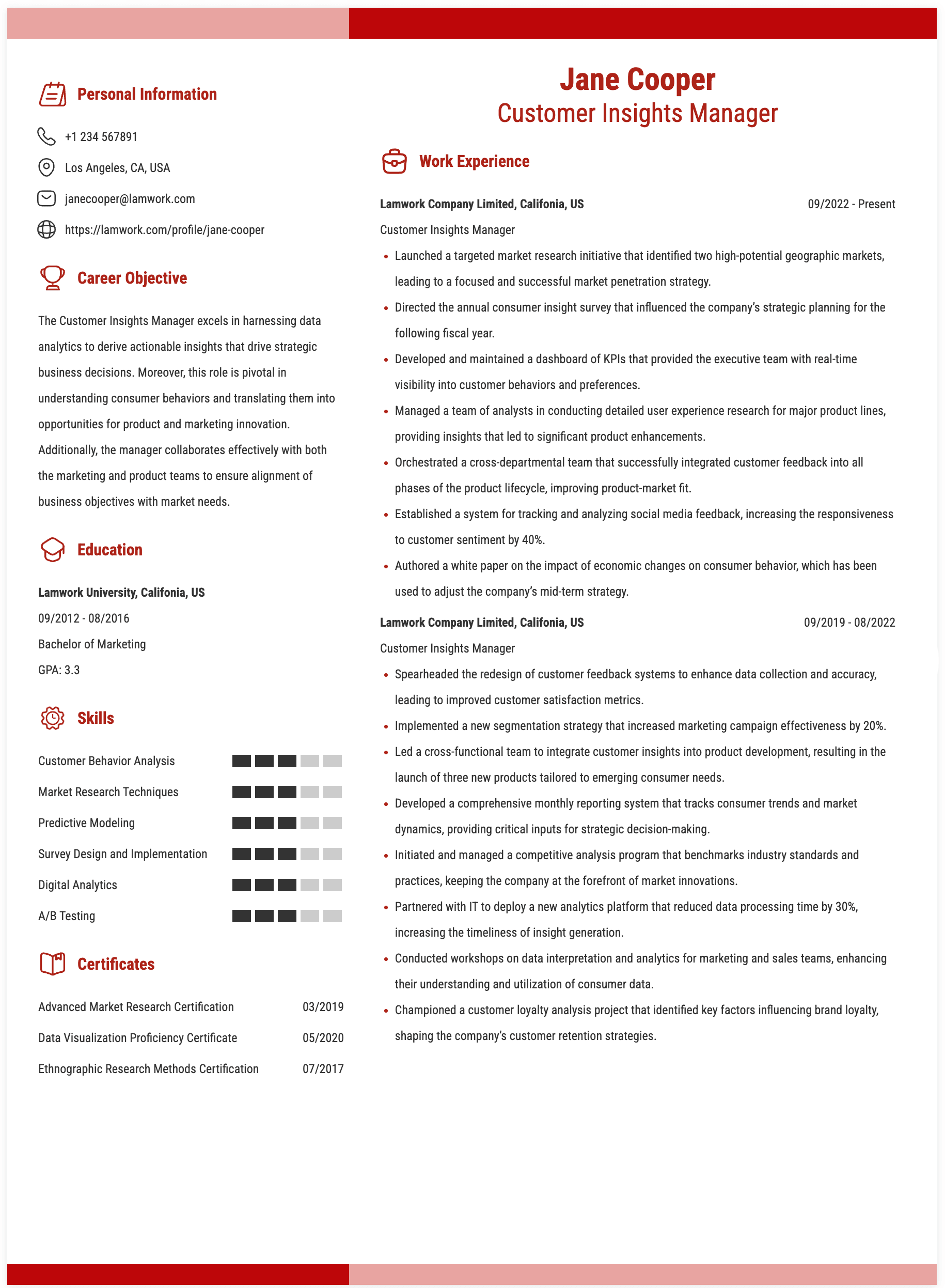 Customer Insights Manager Resume Example
