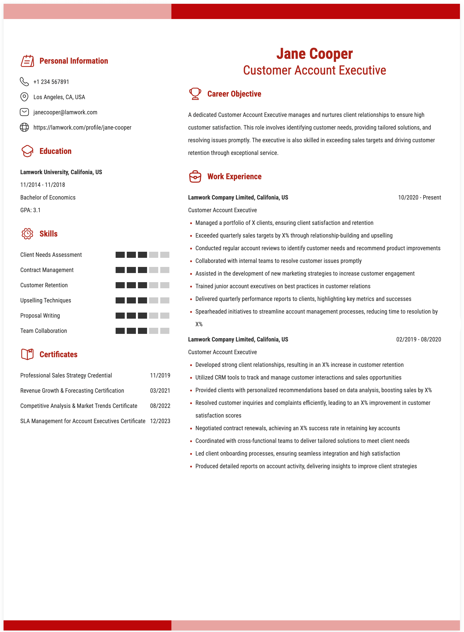 Customer Account Executive Resume Example