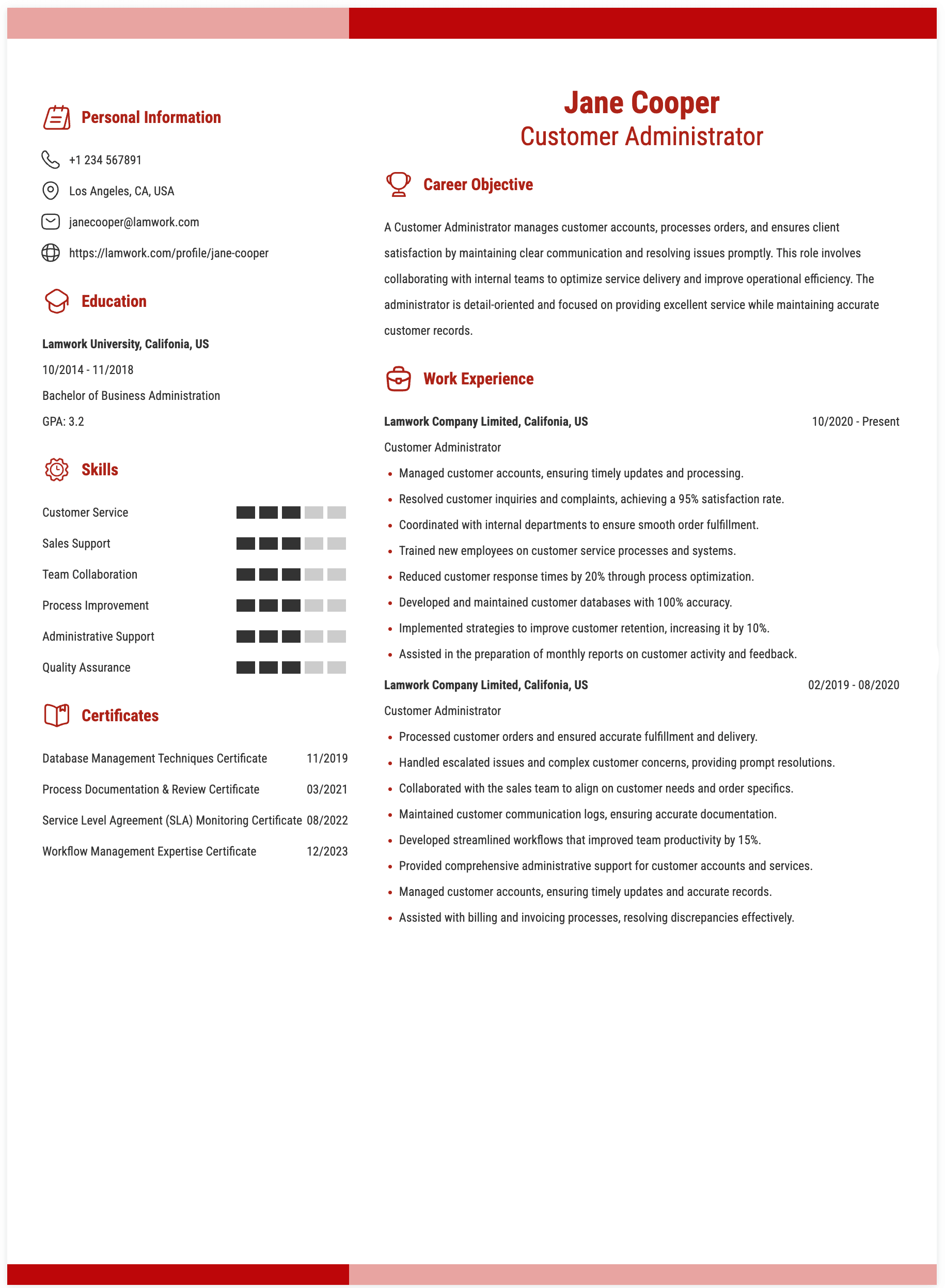 Customer Administrator Resume Example