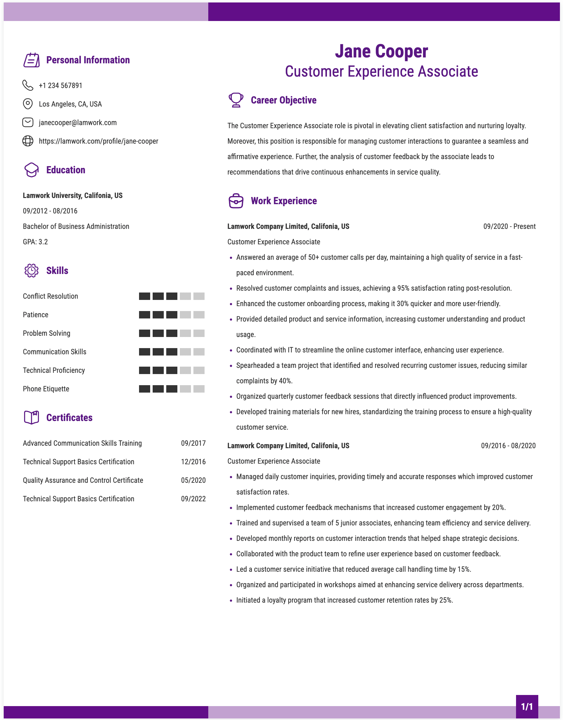 Customer Experience Associate Resume Example