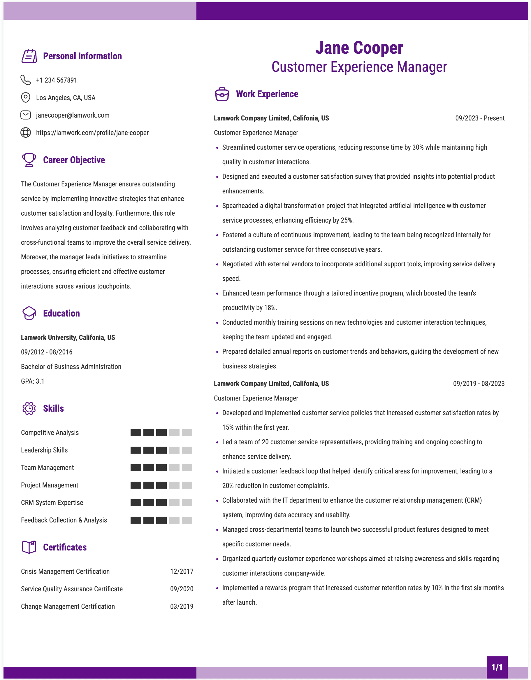 Customer Experience Manager Resume Example