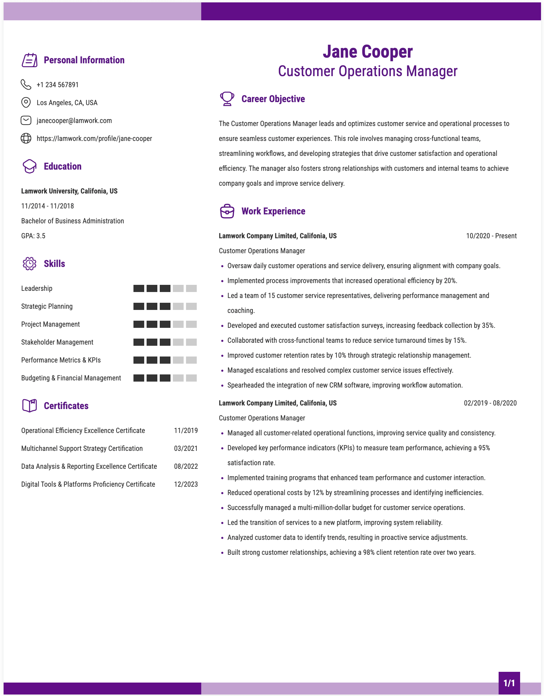 Customer Operations Manager Resume Example