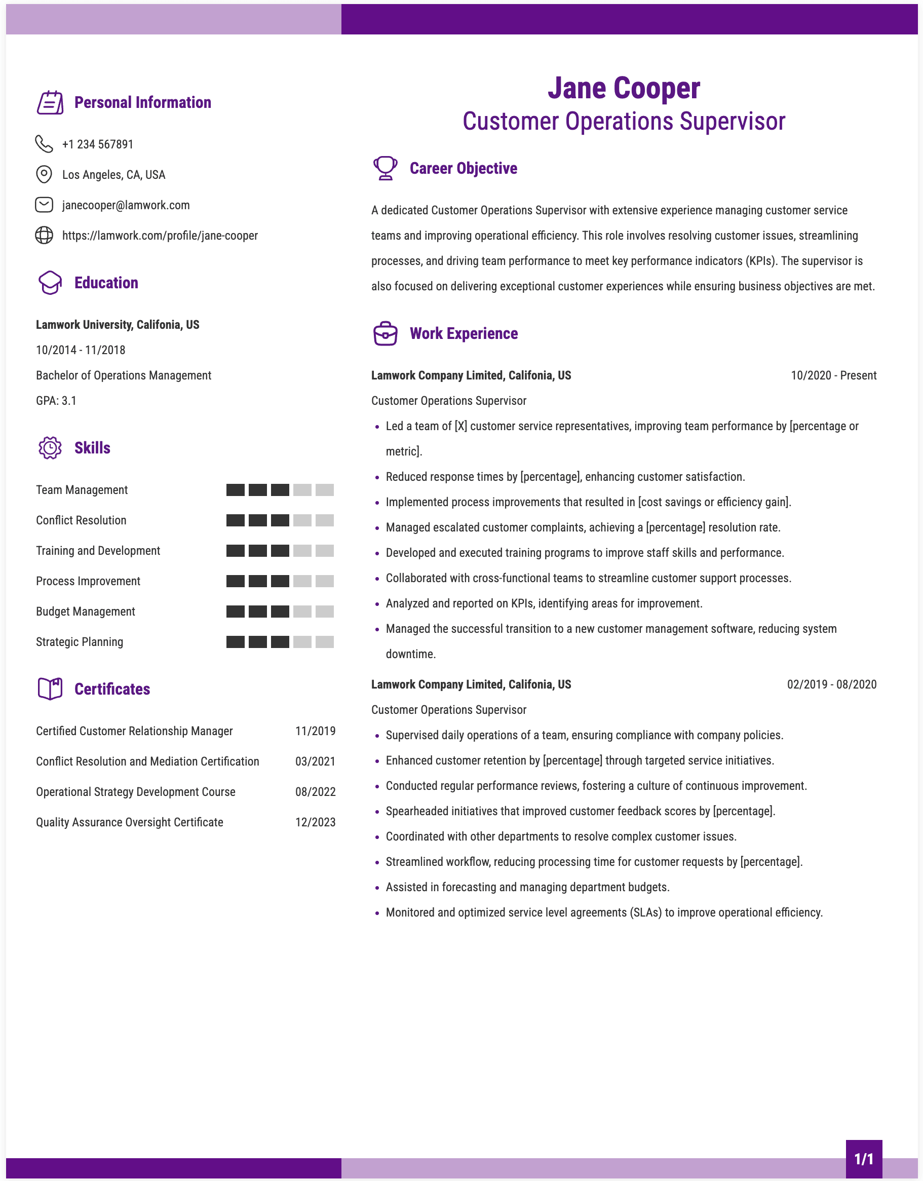 Customer Operations Supervisor Resume Example