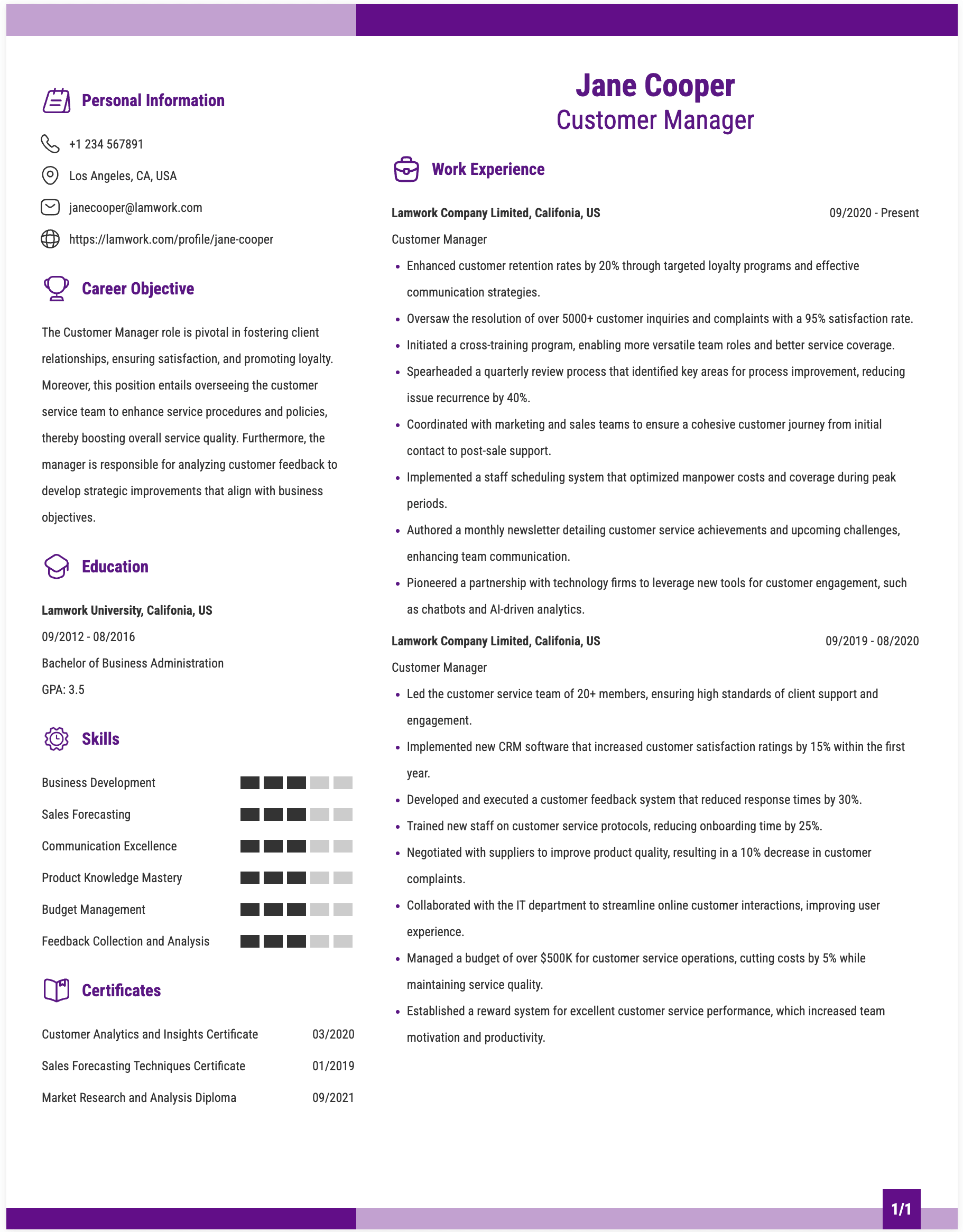 Customer Manager Resume Example