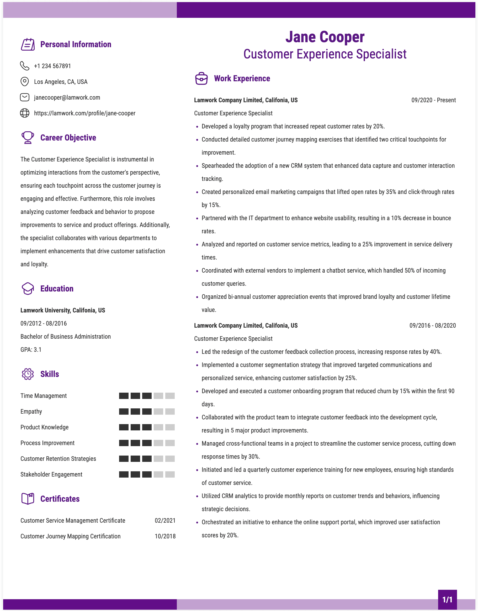 Customer Experience Specialist Resume Example