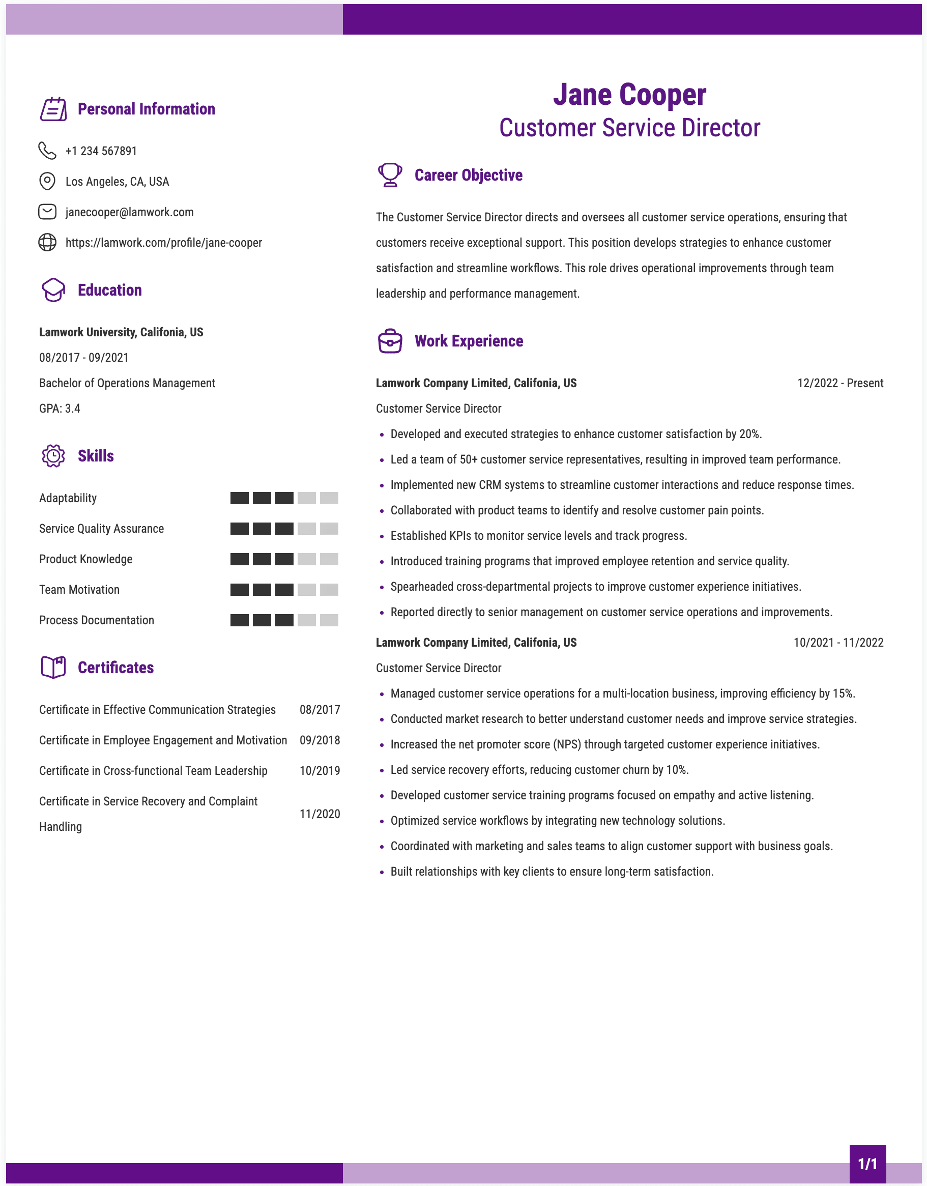 Customer Service Director Resume Example