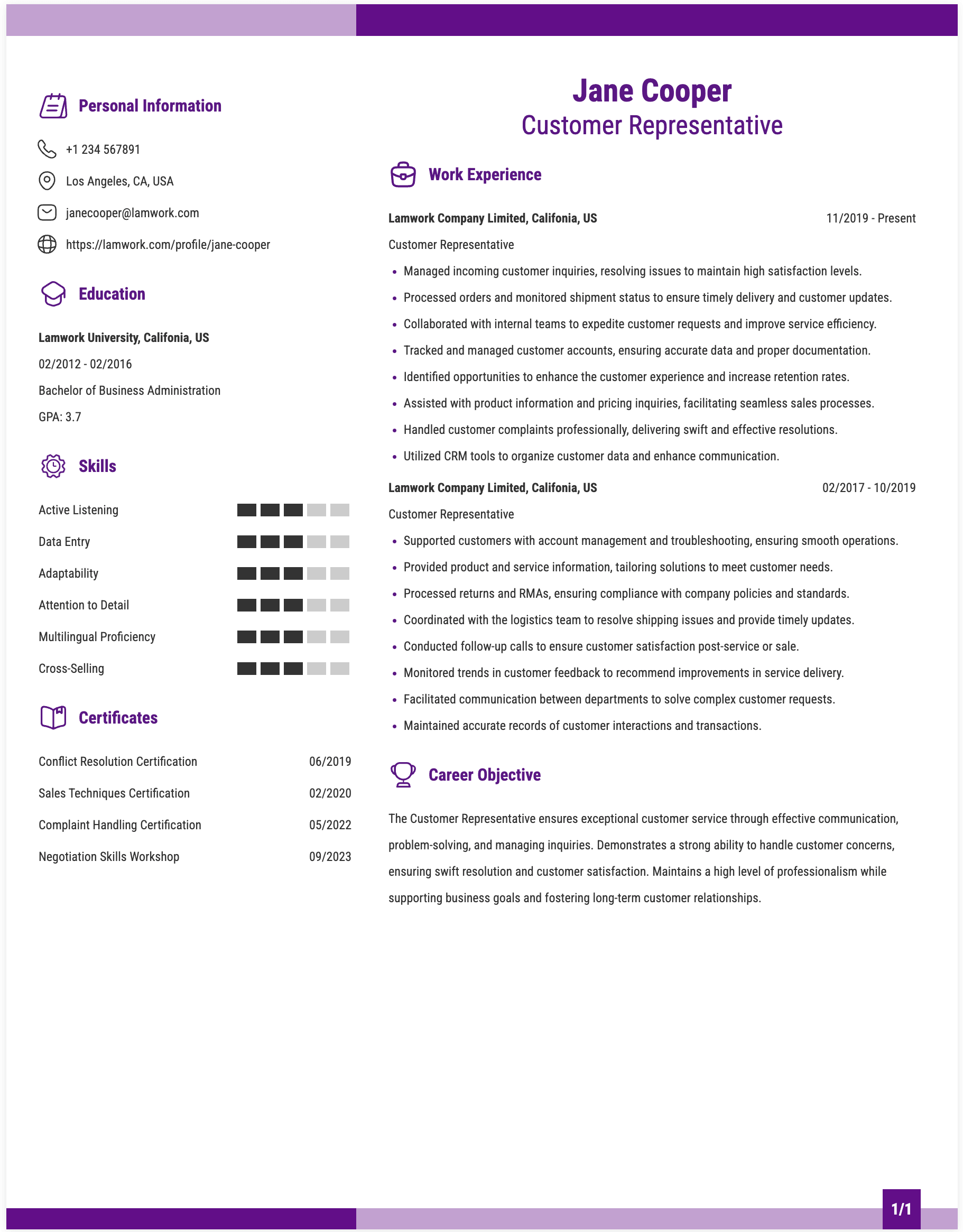 Customer Representative Resume Example