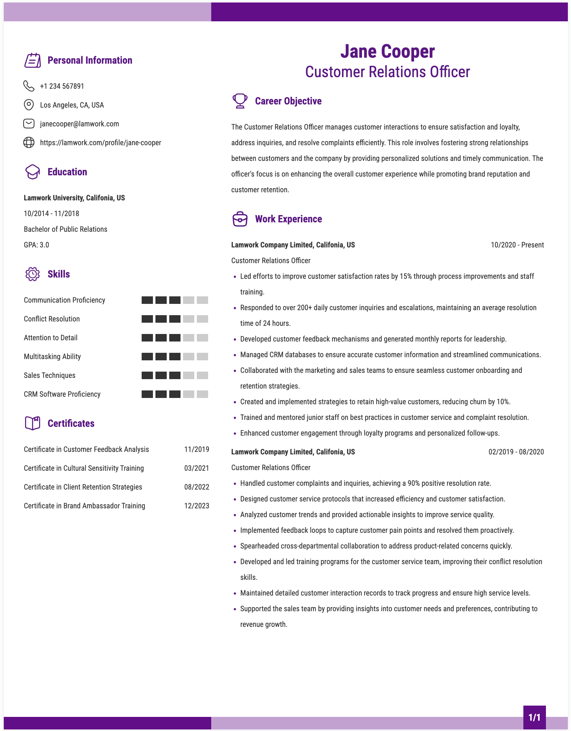 Customer Relations Officer Resume Example