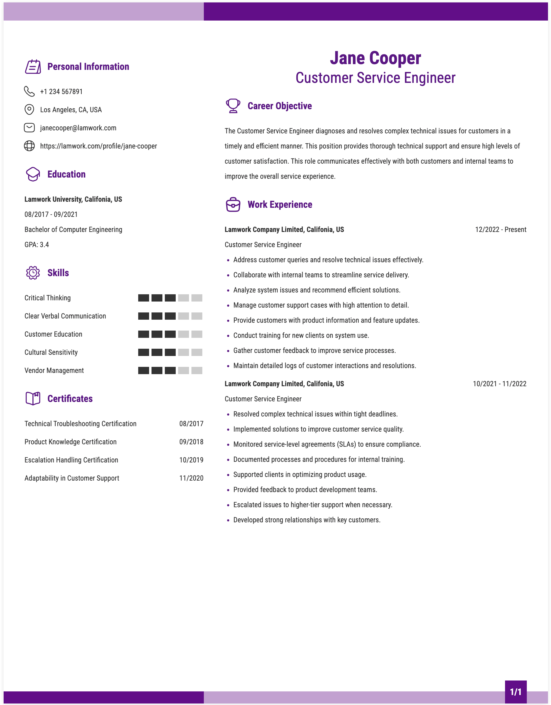 Customer Service Engineer Resume Example